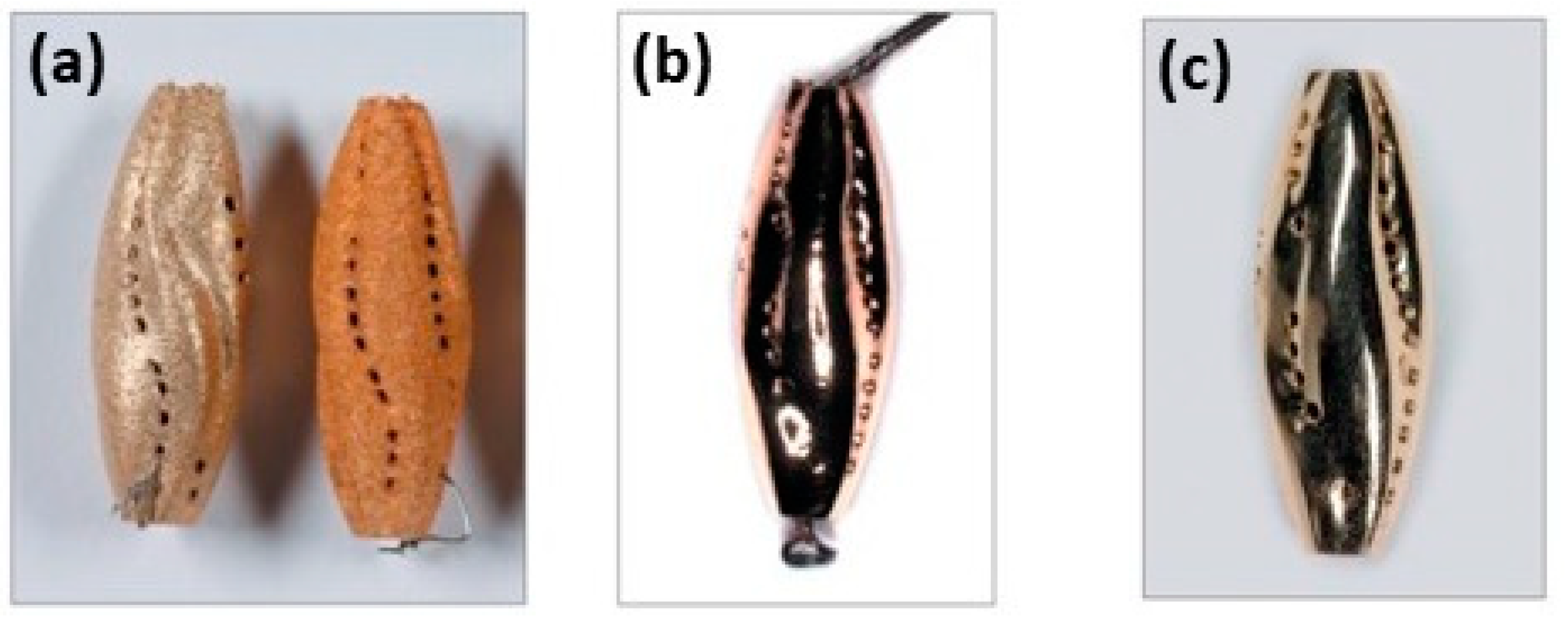 Metals 14 00897 g043