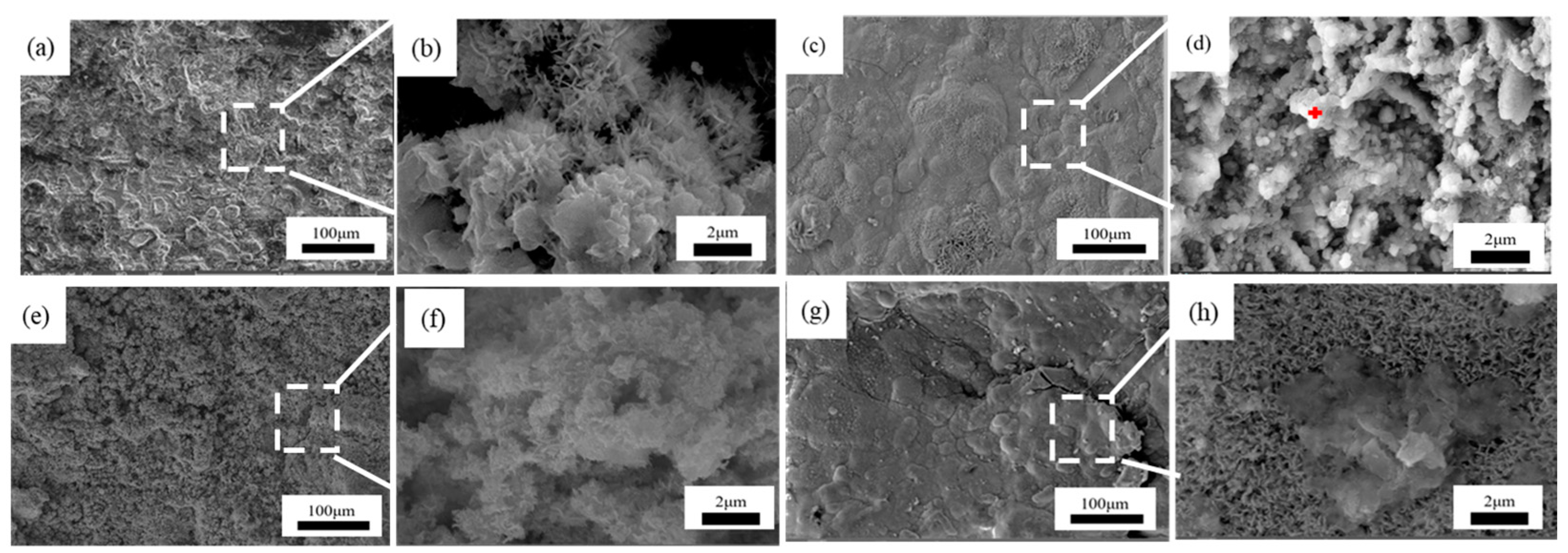 Metals 14 00903 g008