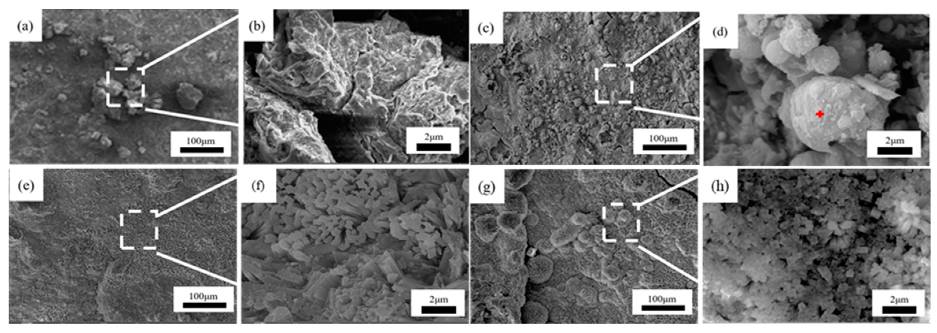 Metals 14 00903 g010