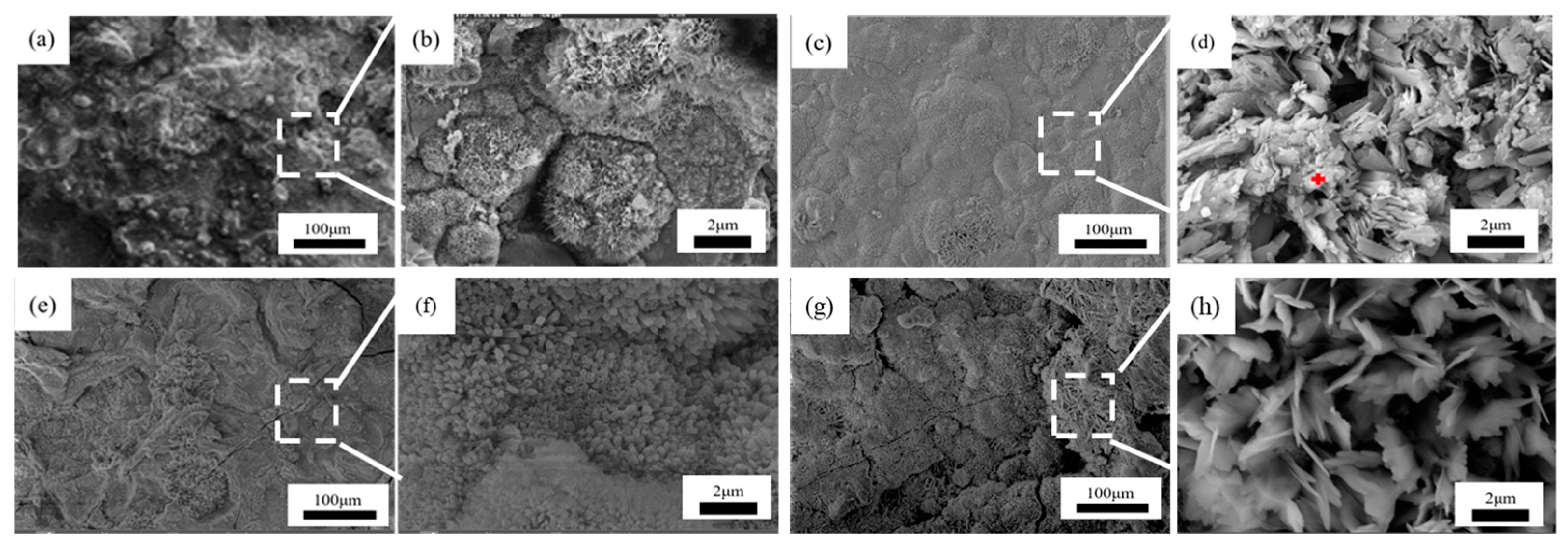 Metals 14 00903 g011