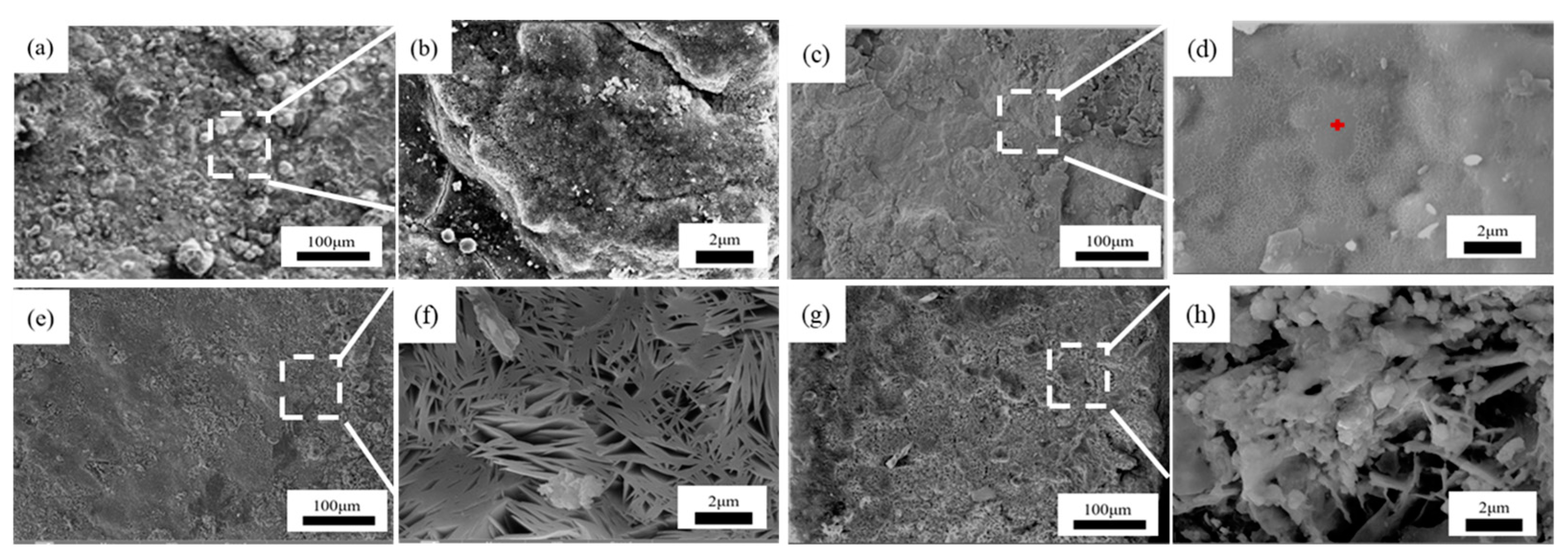 Metals 14 00903 g012