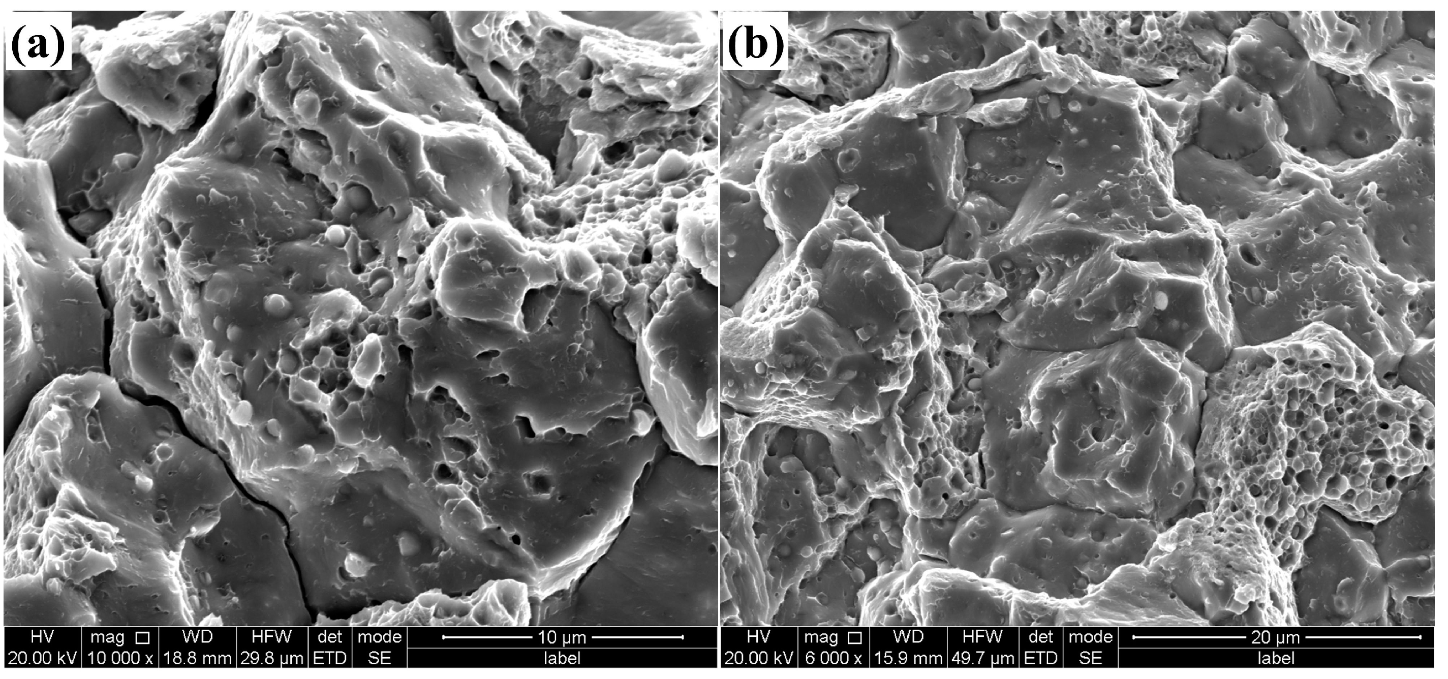 Metals 14 00907 g005