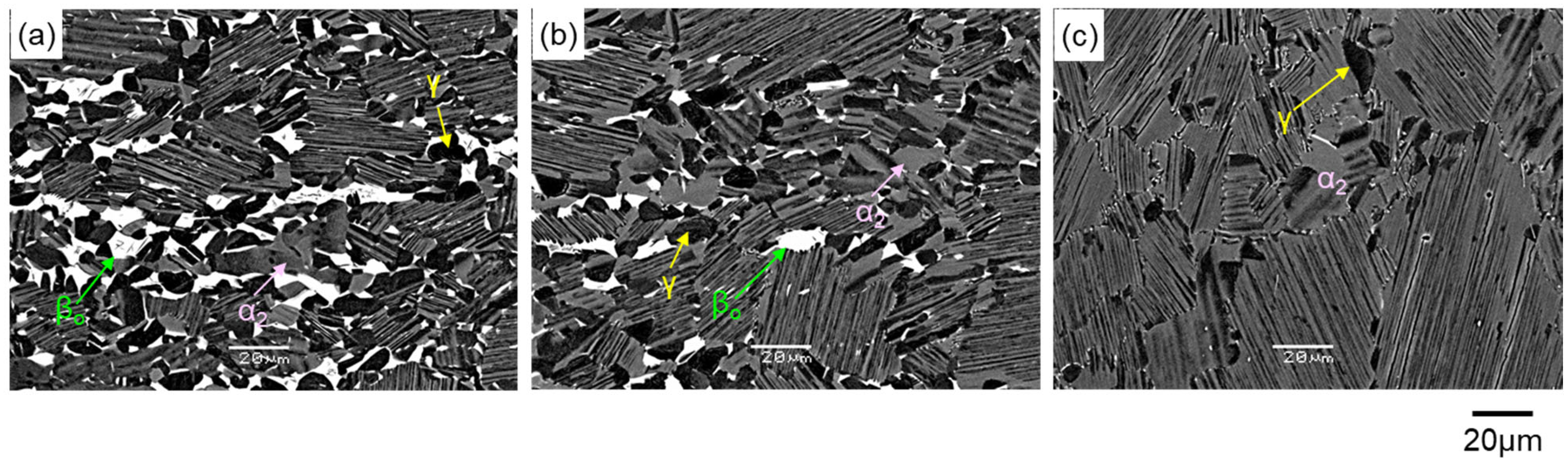 Metals 14 00908 g007