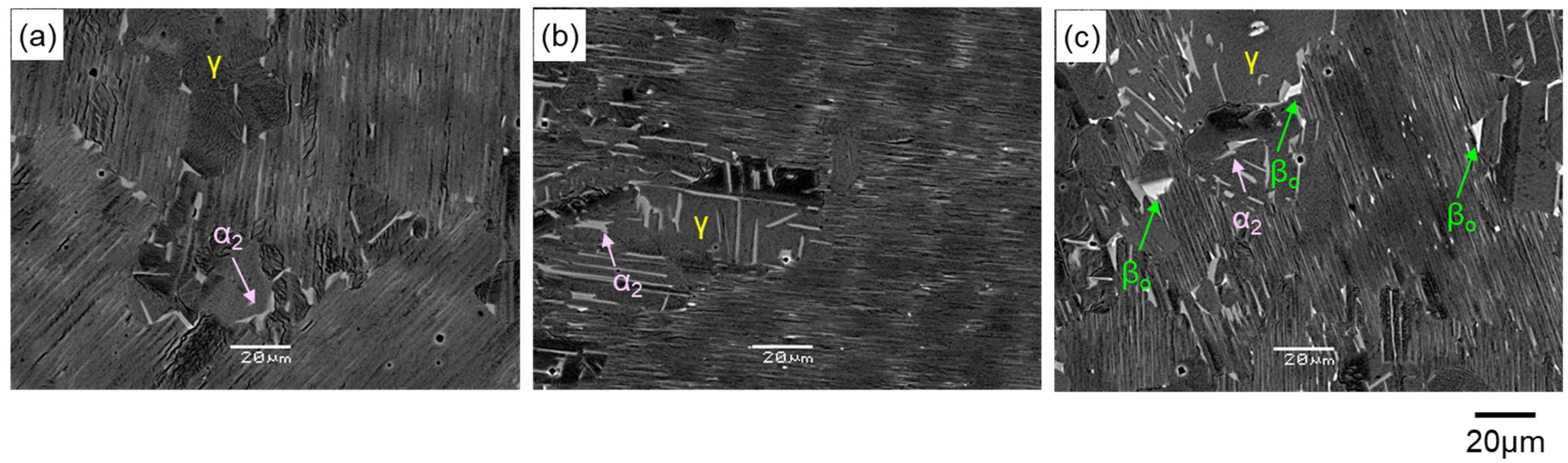 Metals 14 00908 g008