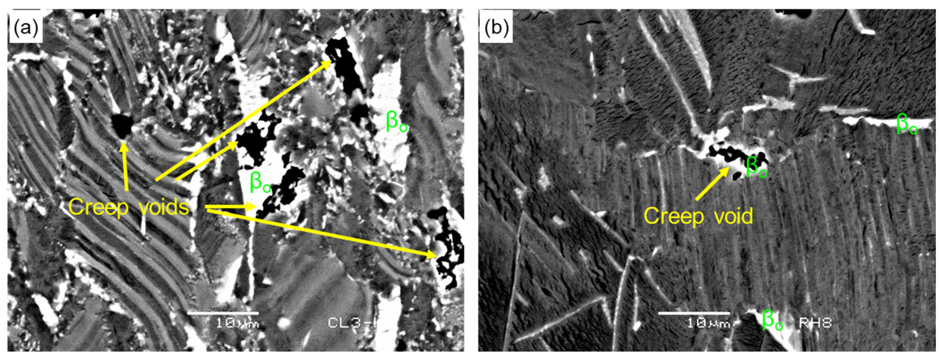 Metals 14 00908 g011