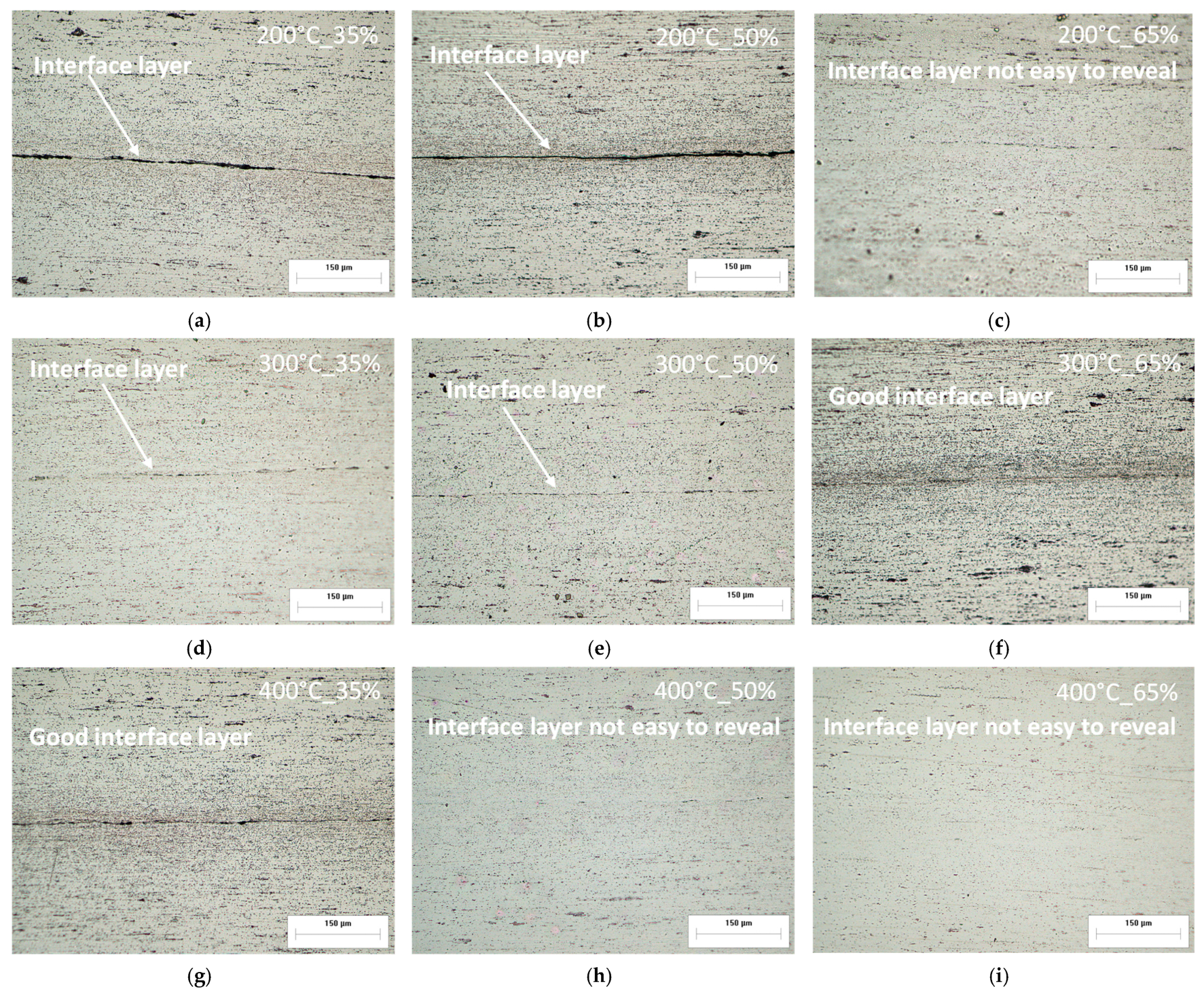 Metals 14 00920 g008