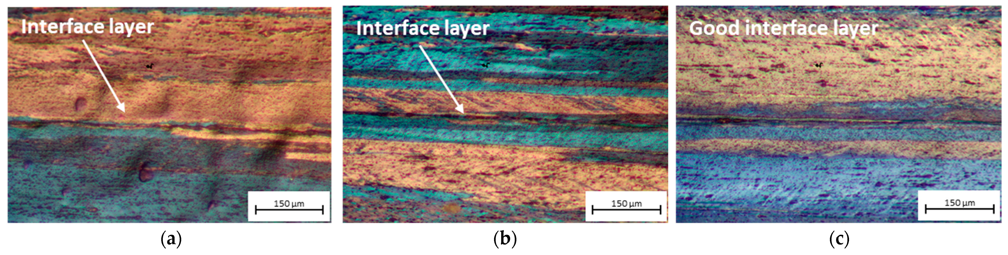 Metals 14 00920 g010