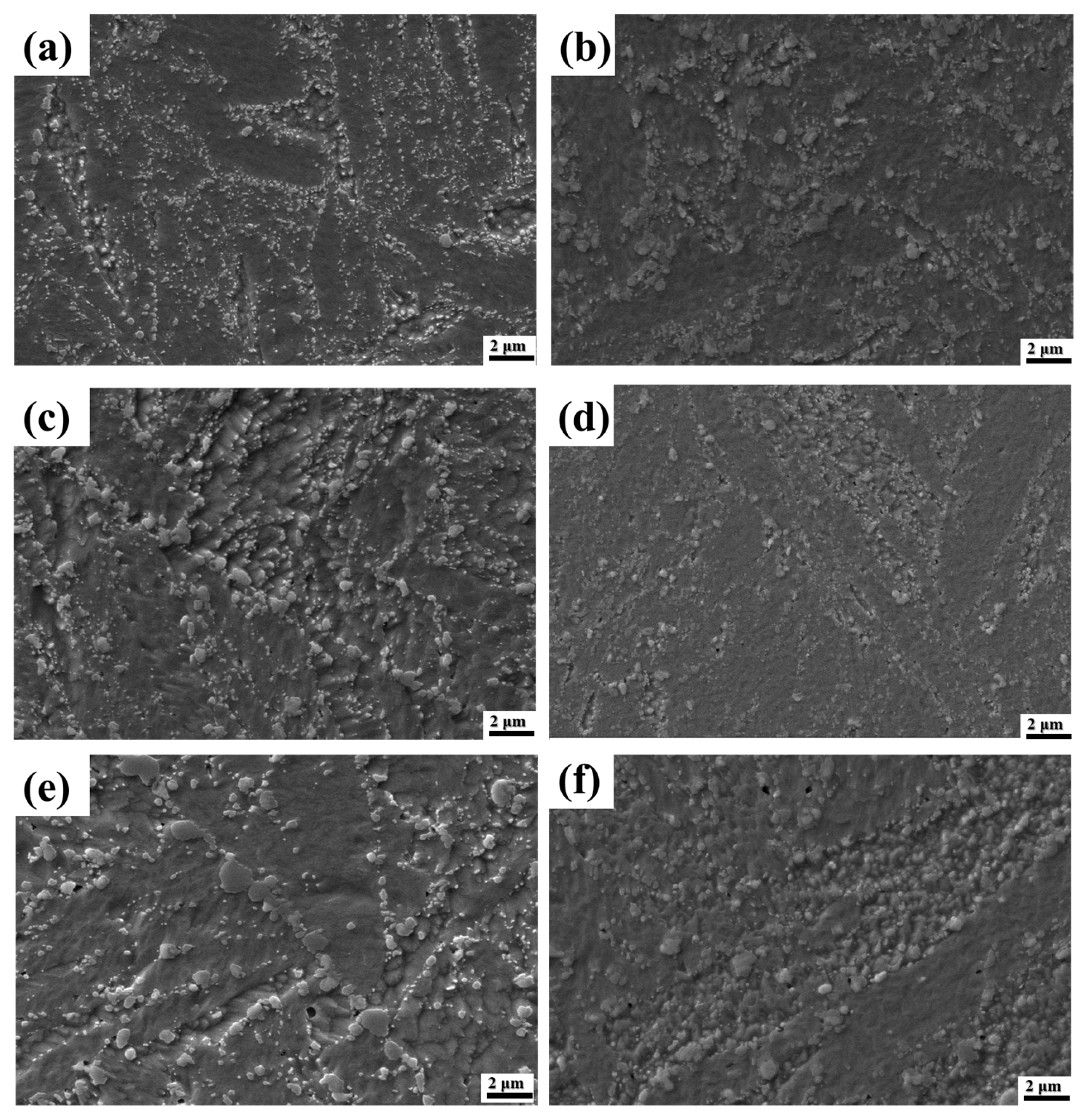 Metals 14 00921 g005