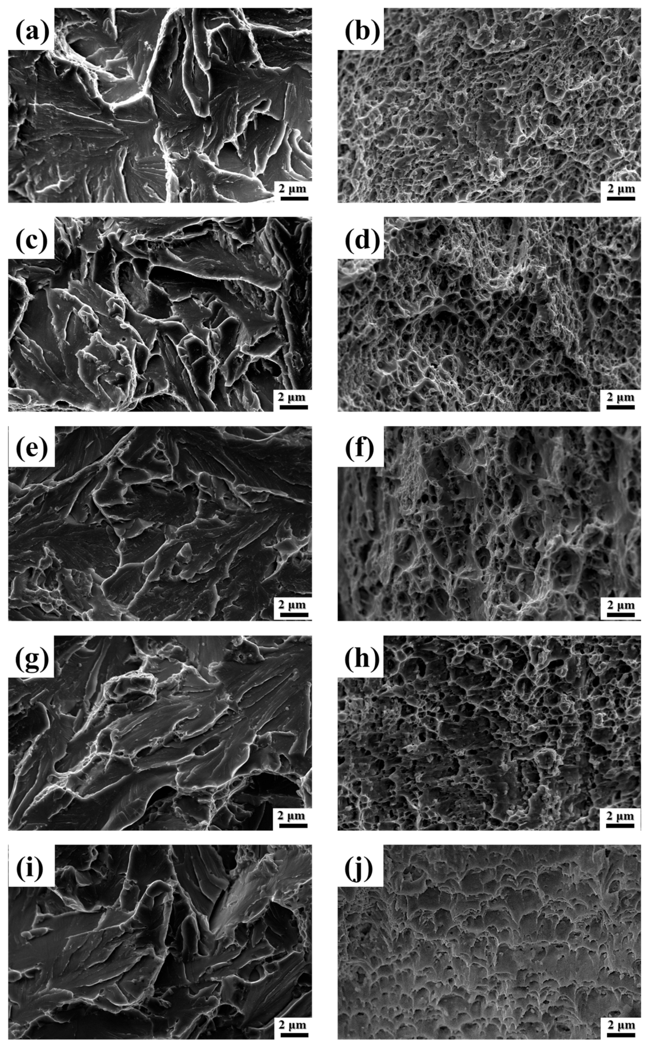 Metals 14 00921 g011