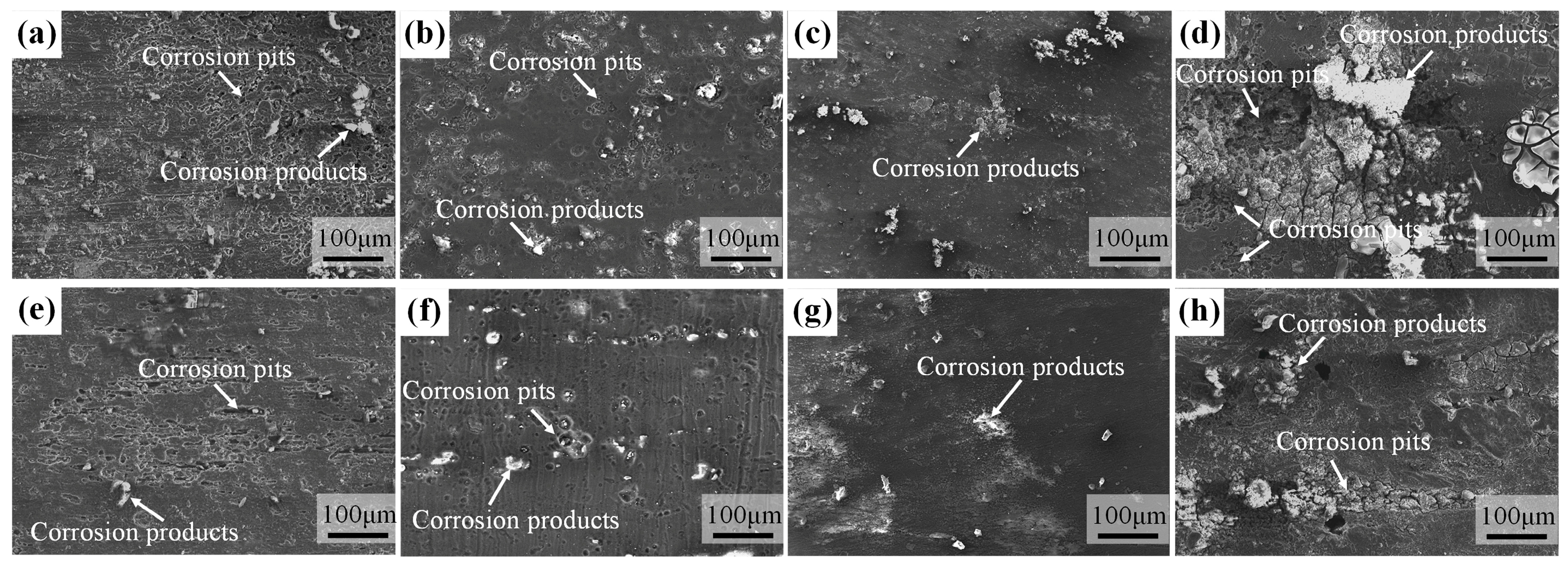 Metals 14 00925 g005