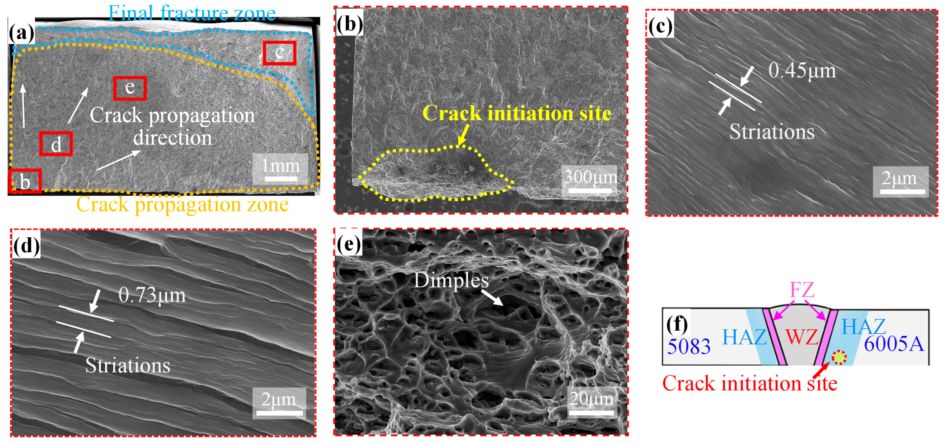 Metals 14 00925 g008