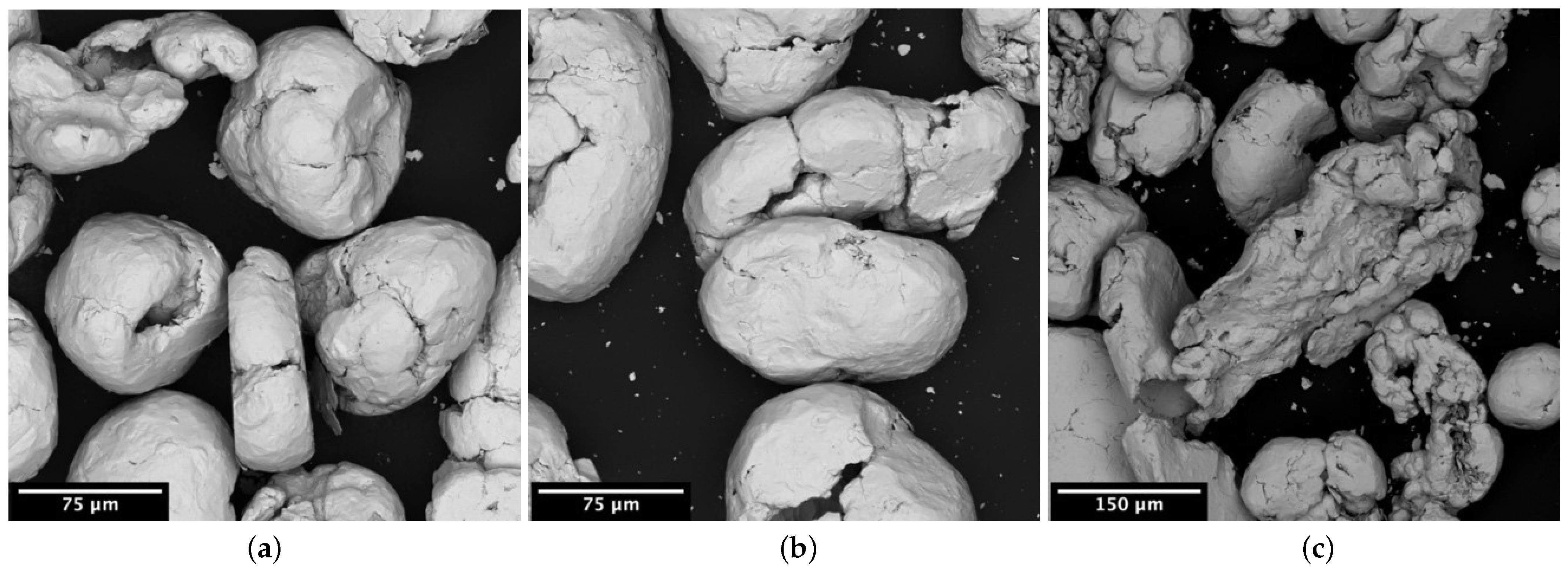 Metals 14 00929 g005