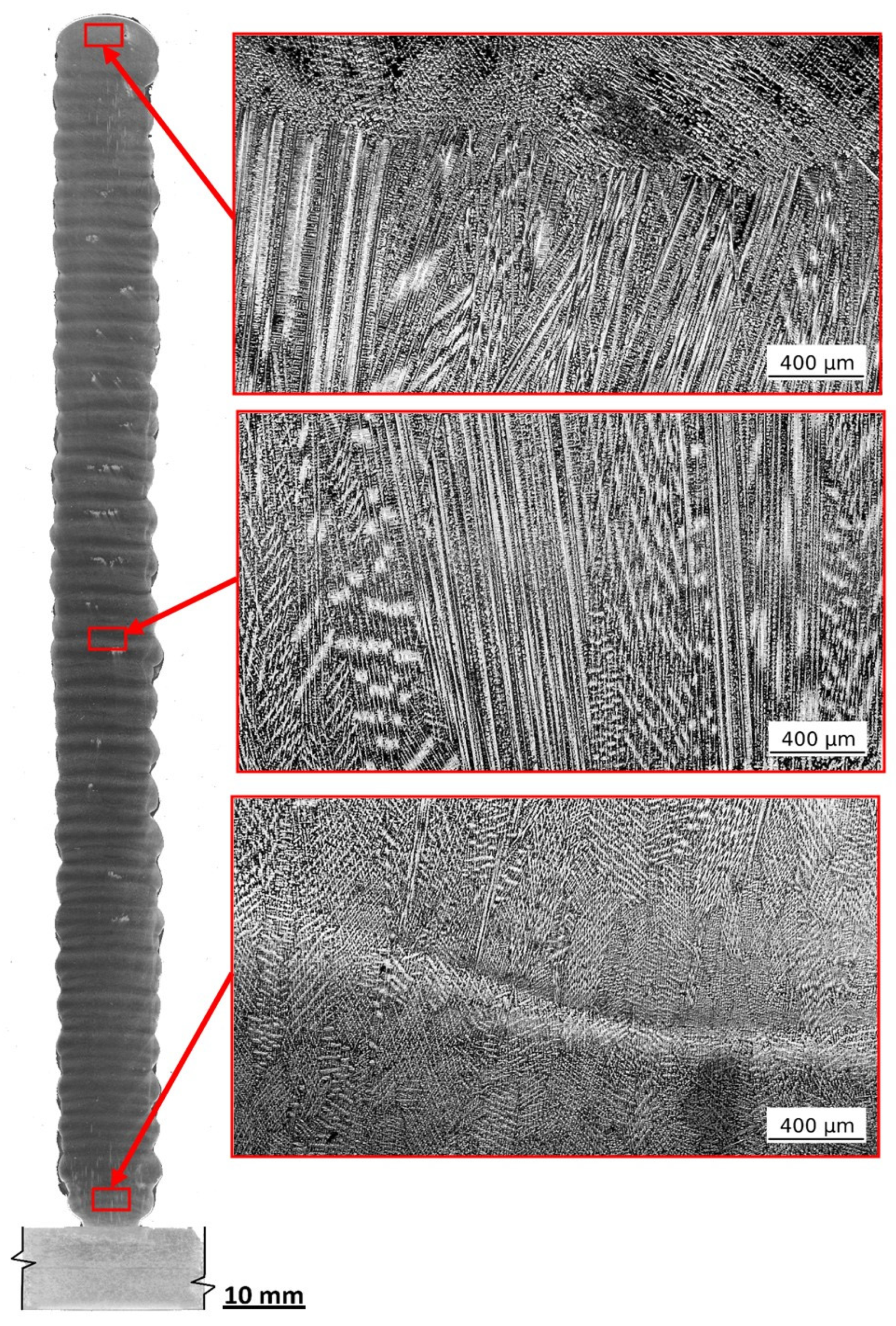 Metals 14 00953 g007