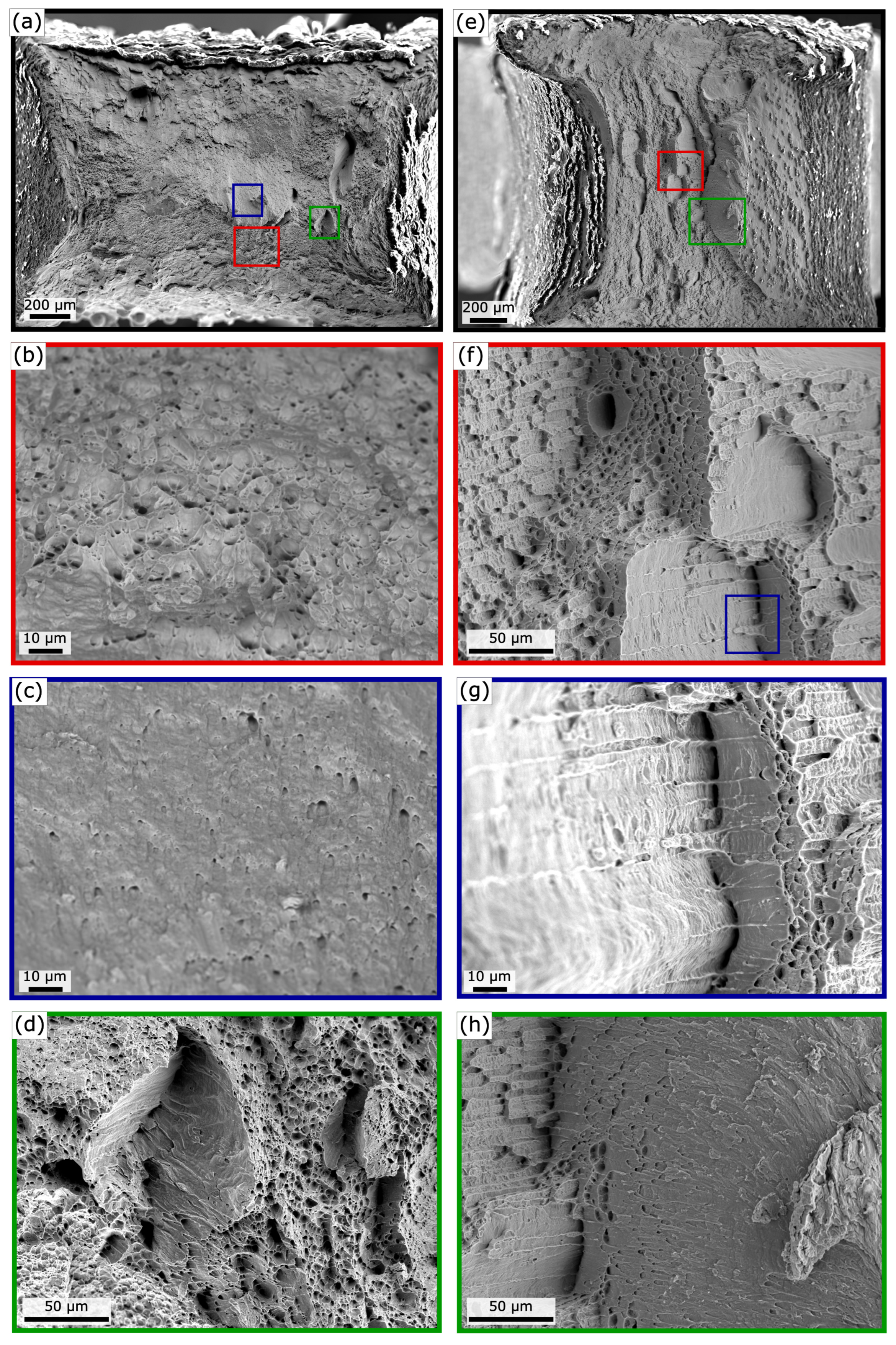 Metals 14 00958 g010