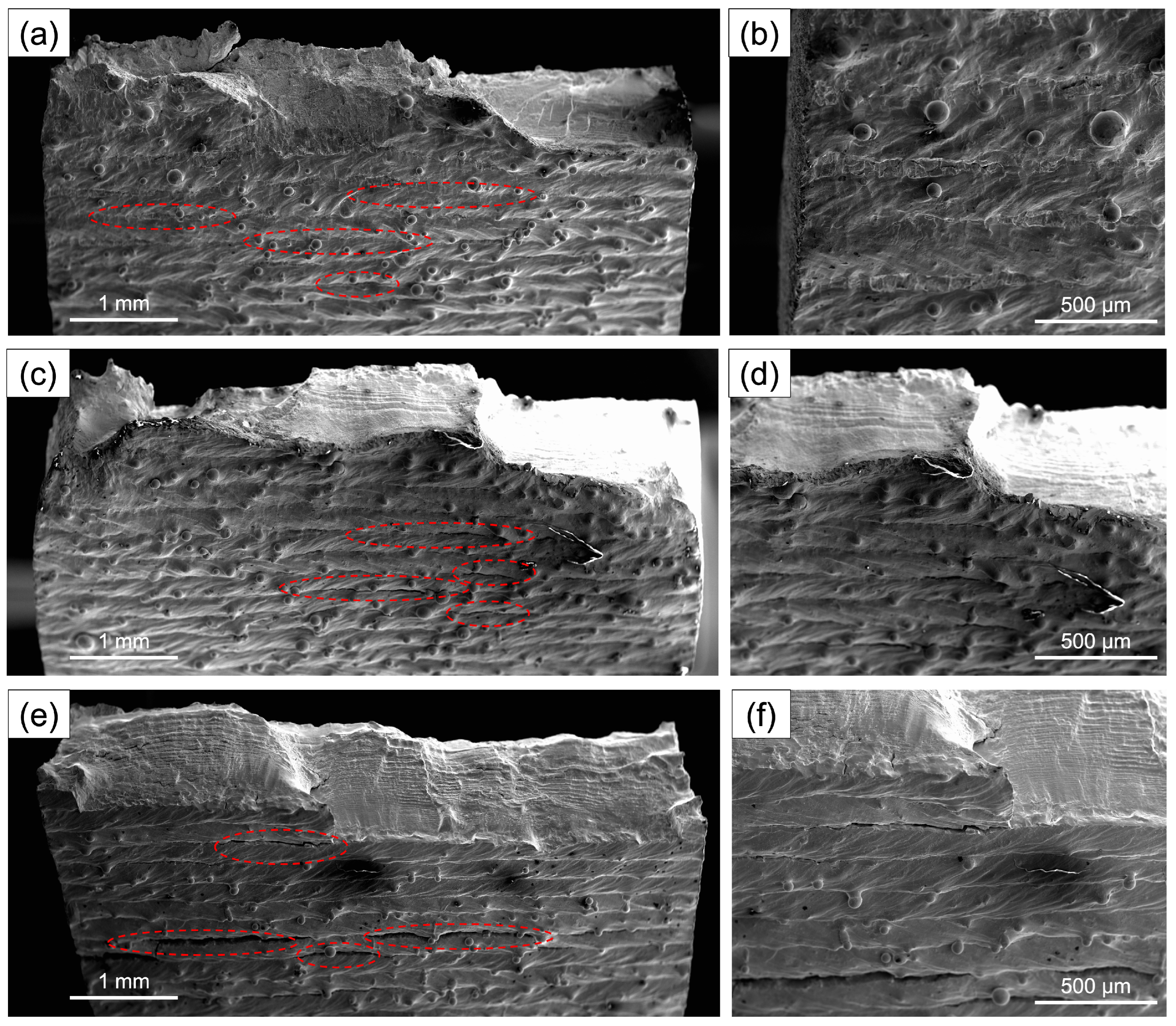 Metals 14 00958 g014