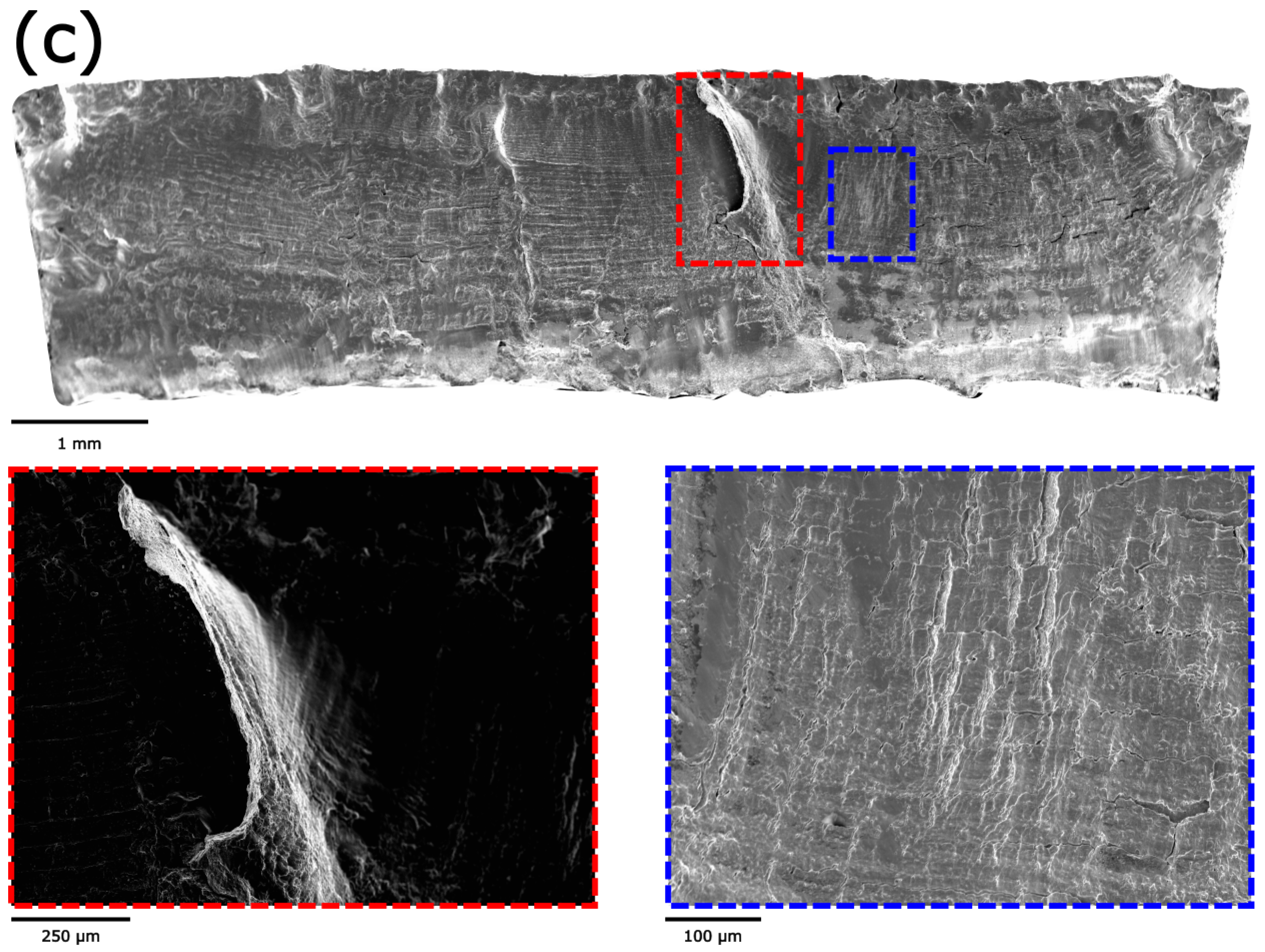 Metals 14 00958 g015b