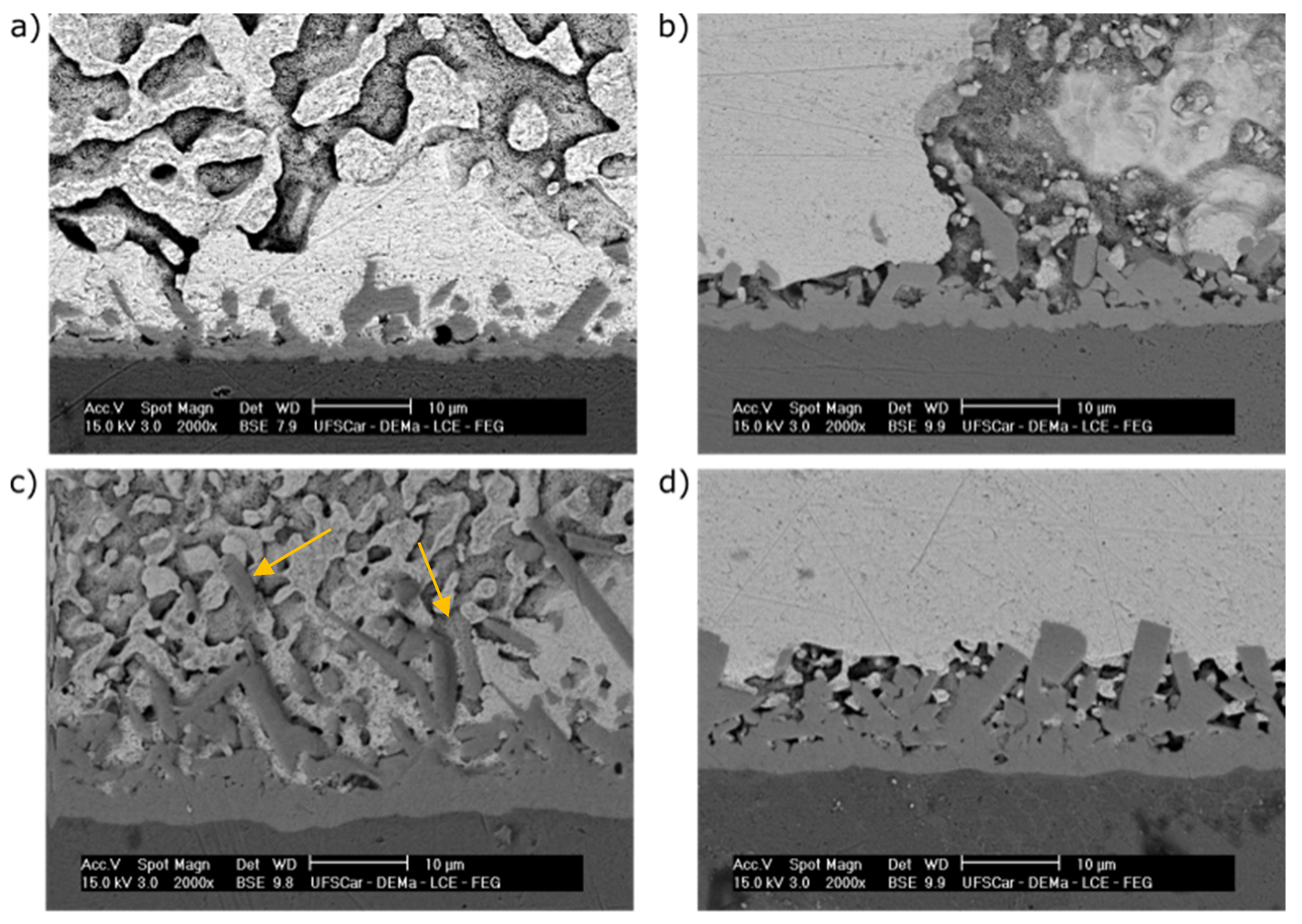 Metals 14 00963 g007