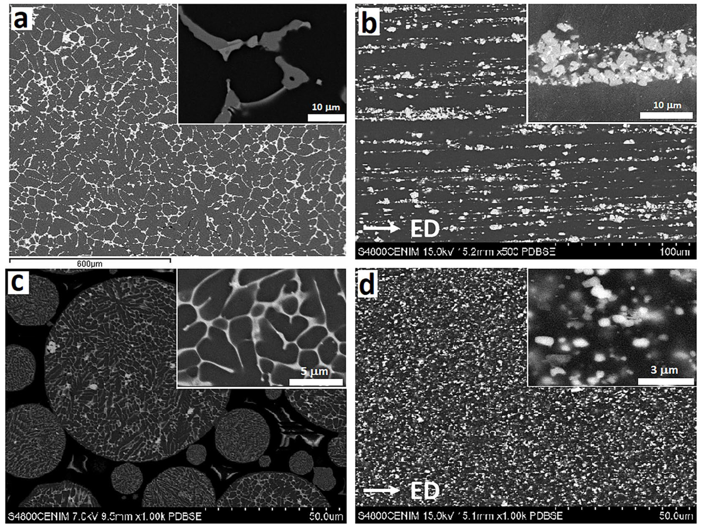 Metals 14 00968 g001