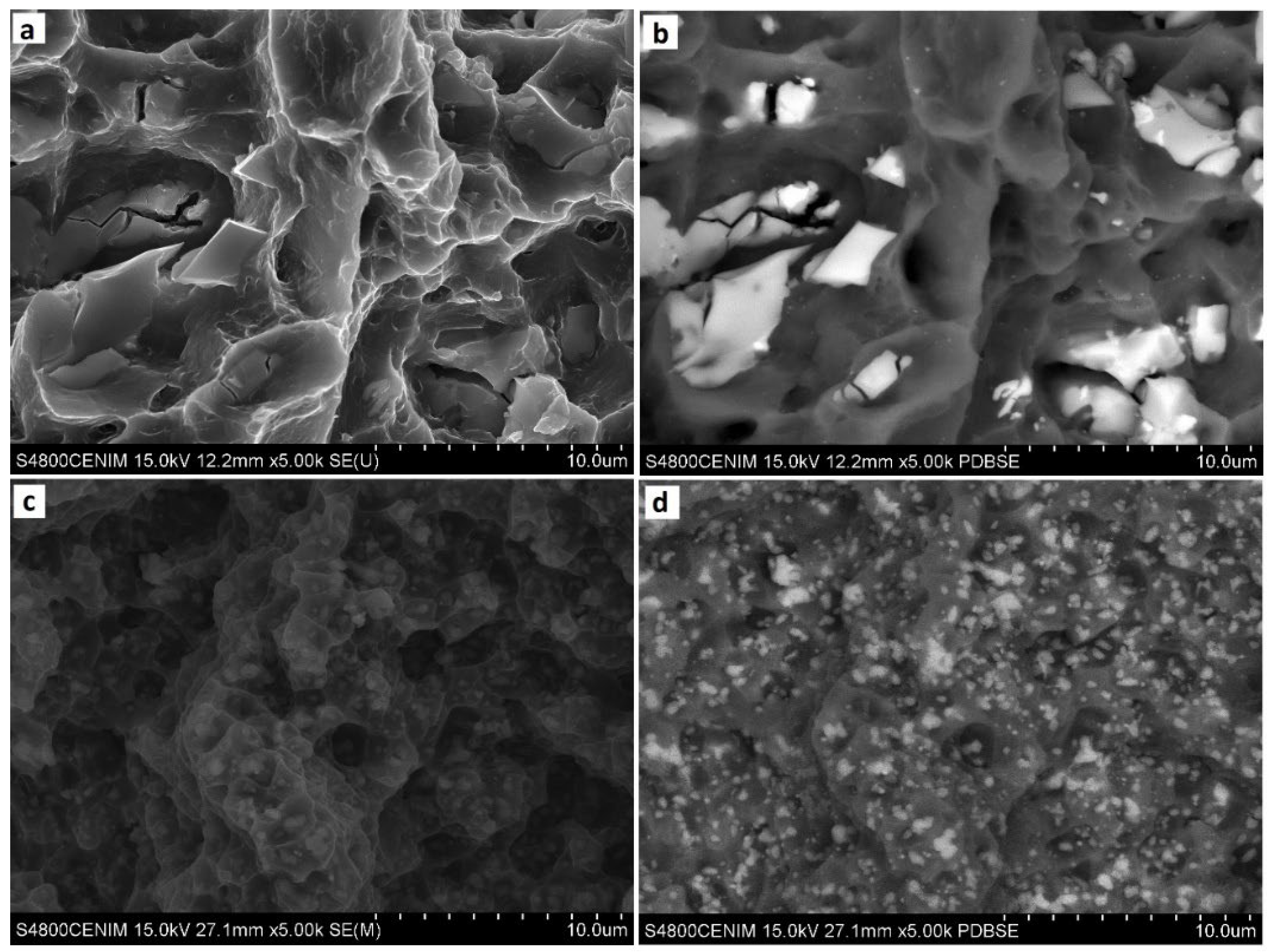 Metals 14 00968 g006