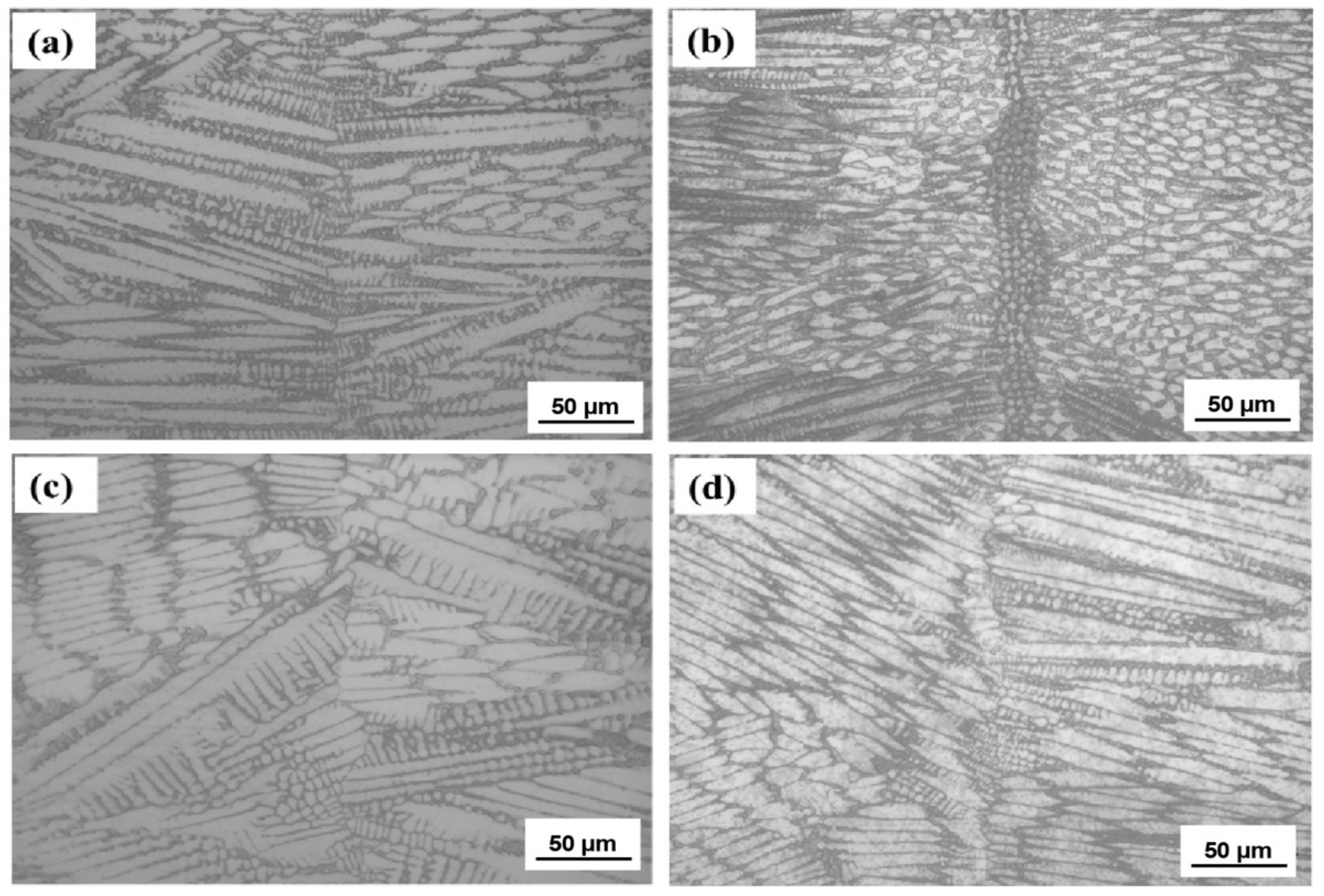 Metals 14 00971 g005