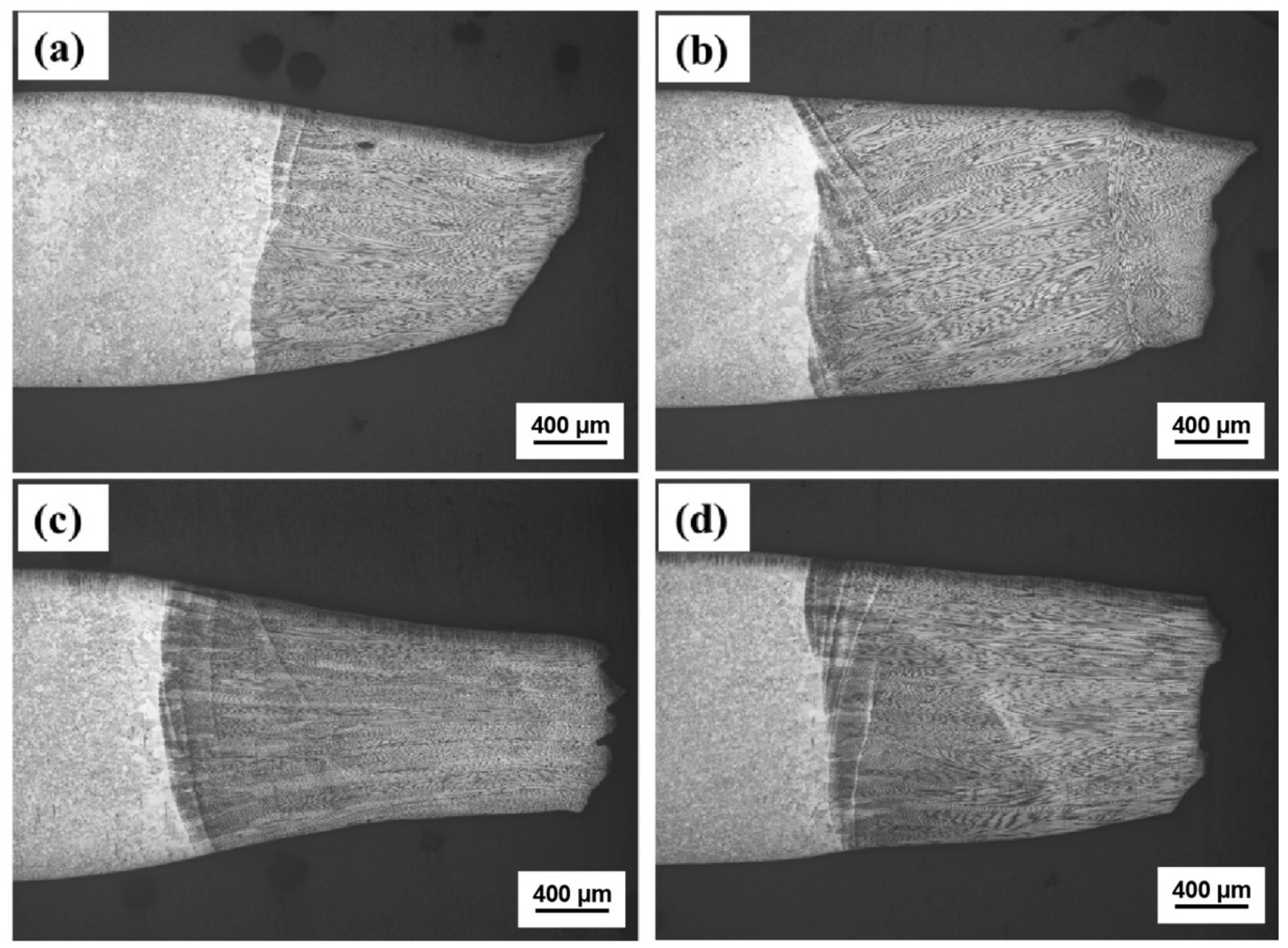 Metals 14 00971 g013