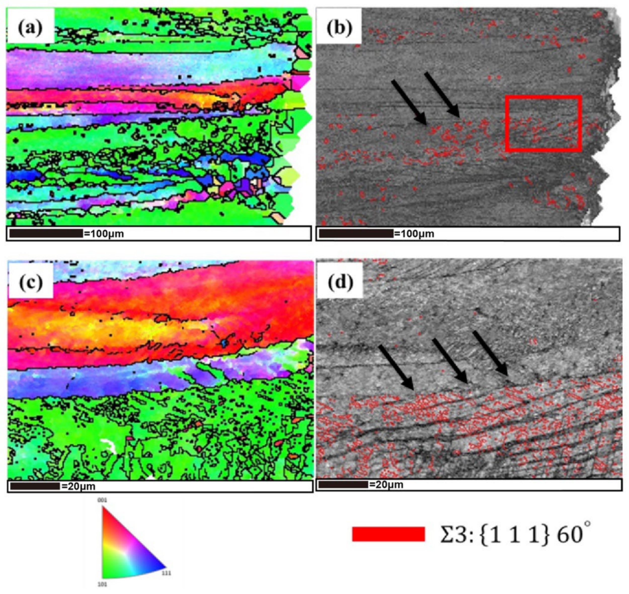 Metals 14 00971 g014