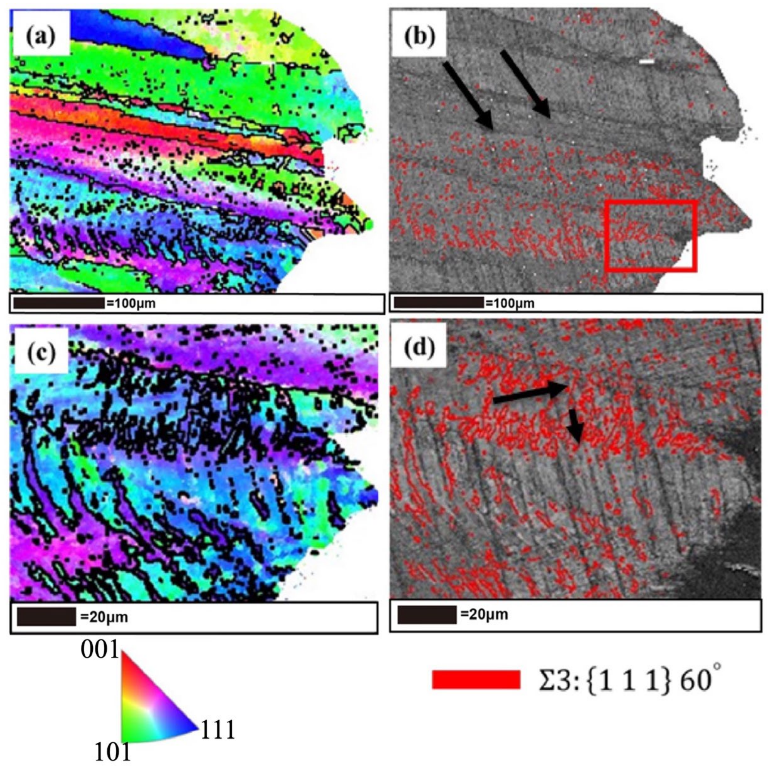 Metals 14 00971 g015