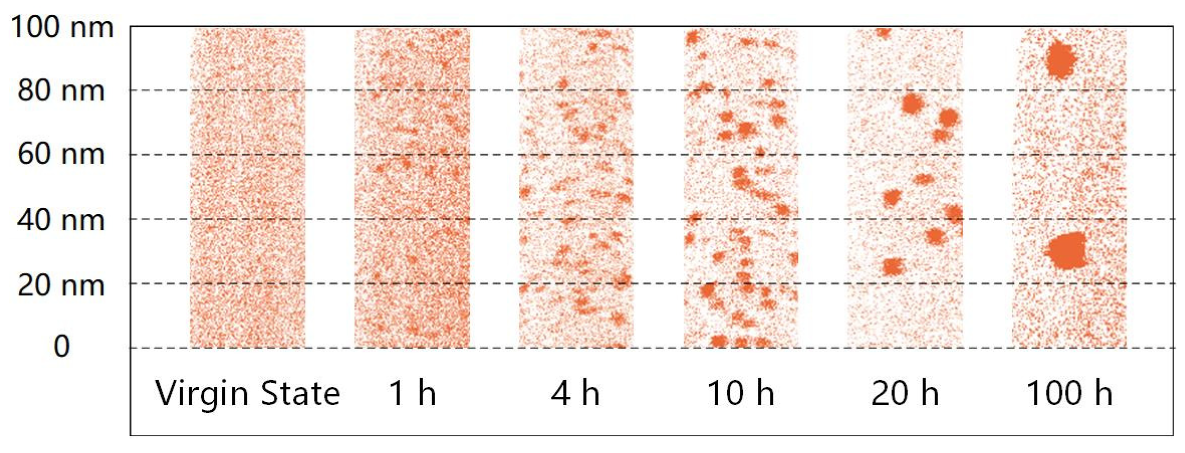 Metals 14 00973 g005