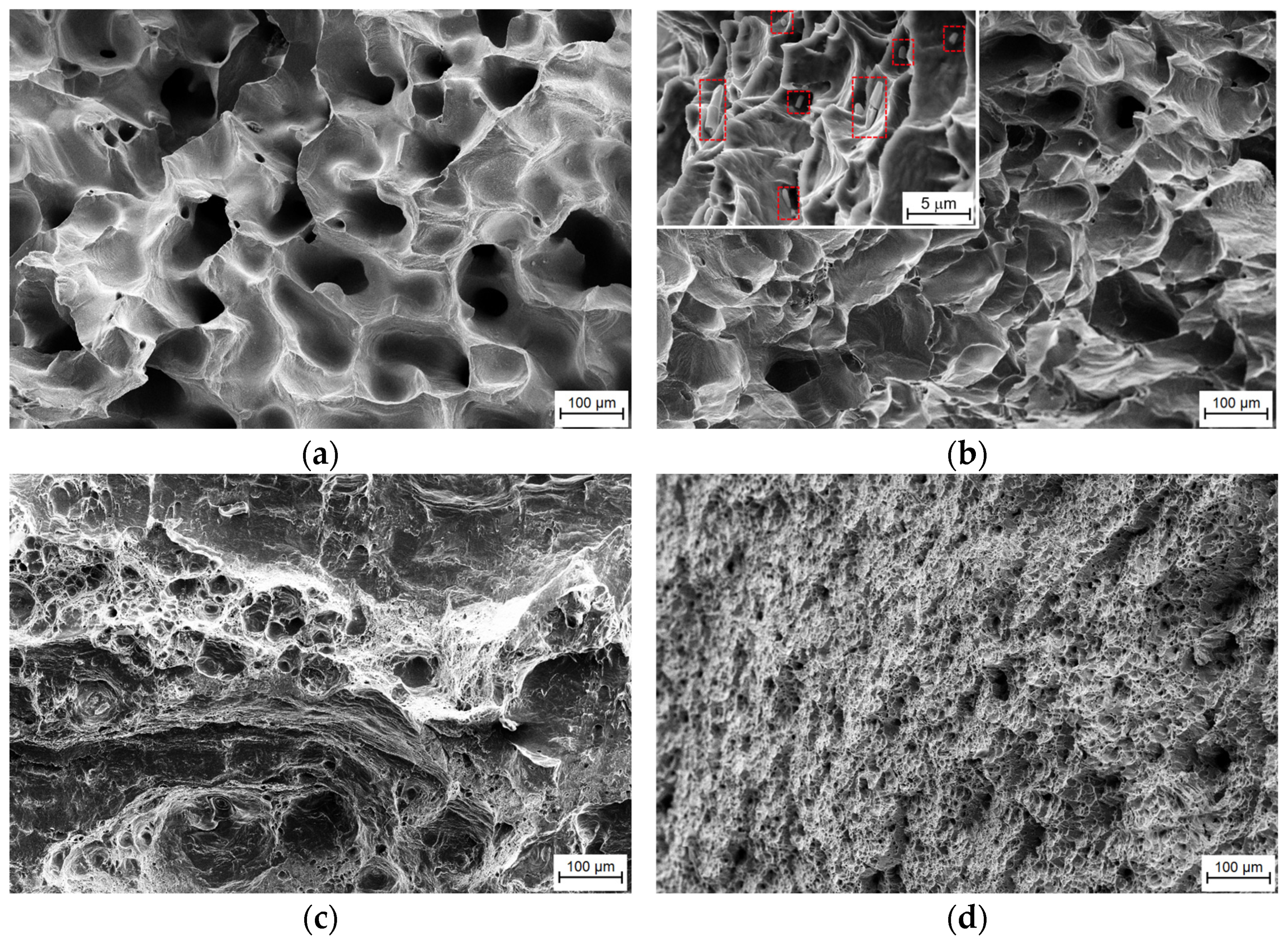 Metals 14 00975 g004