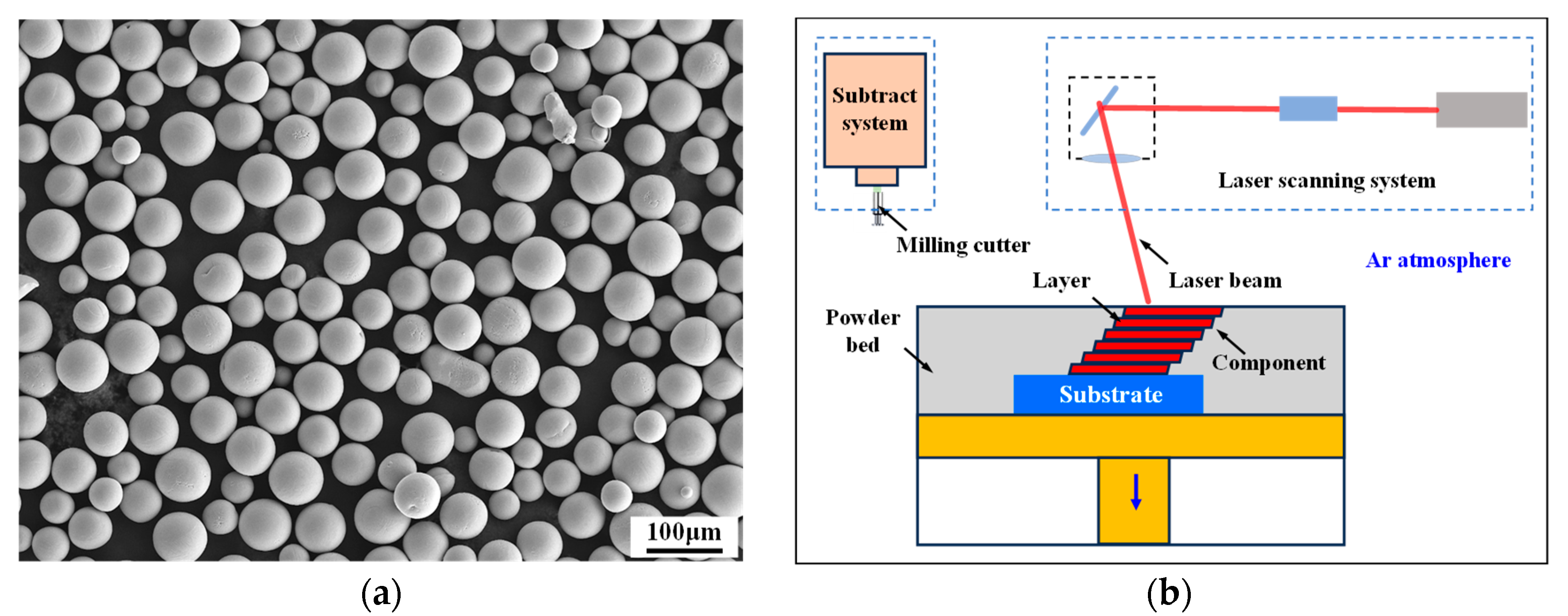 Metals 14 00979 g004