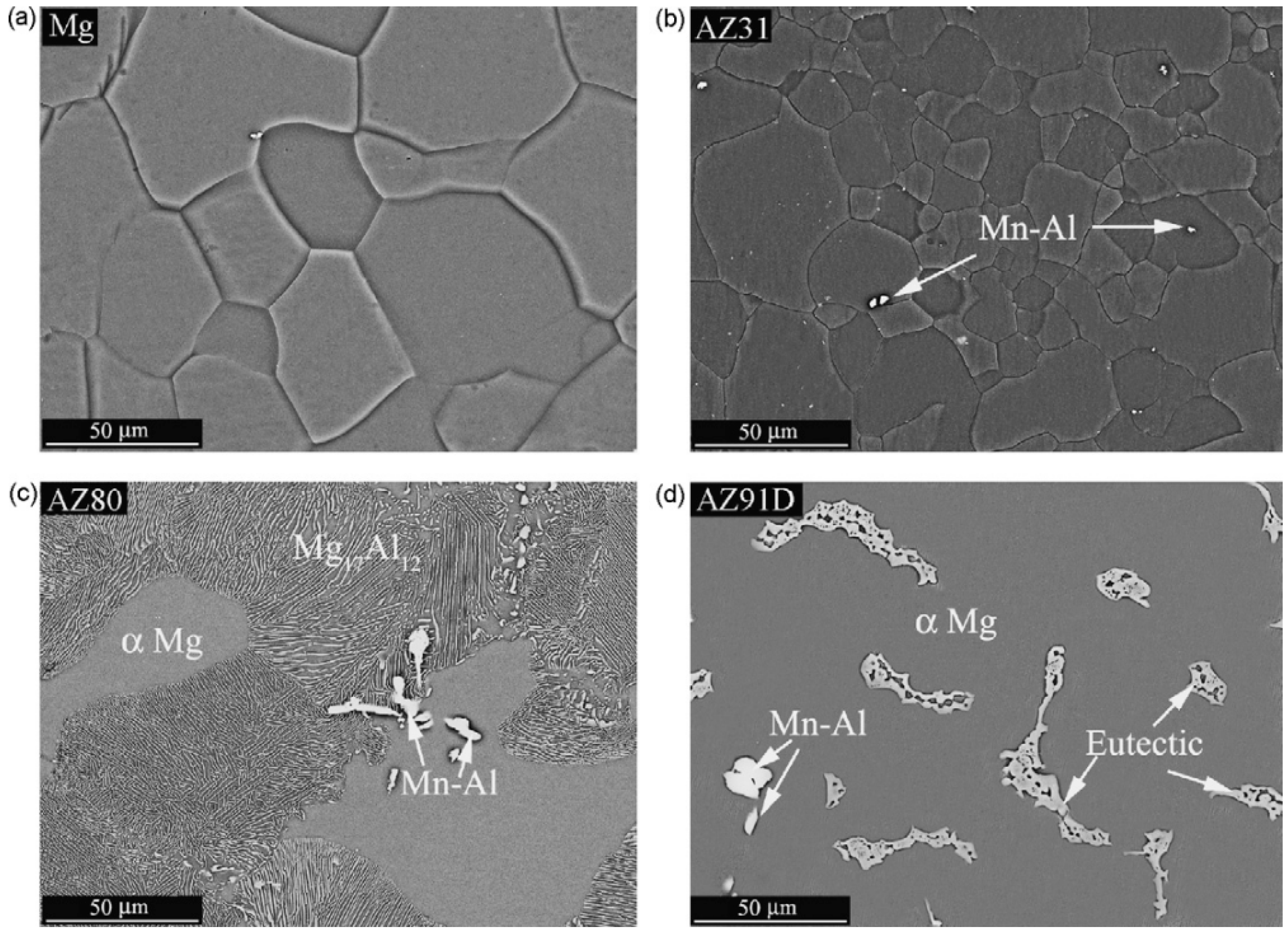 Metals 14 01000 g001