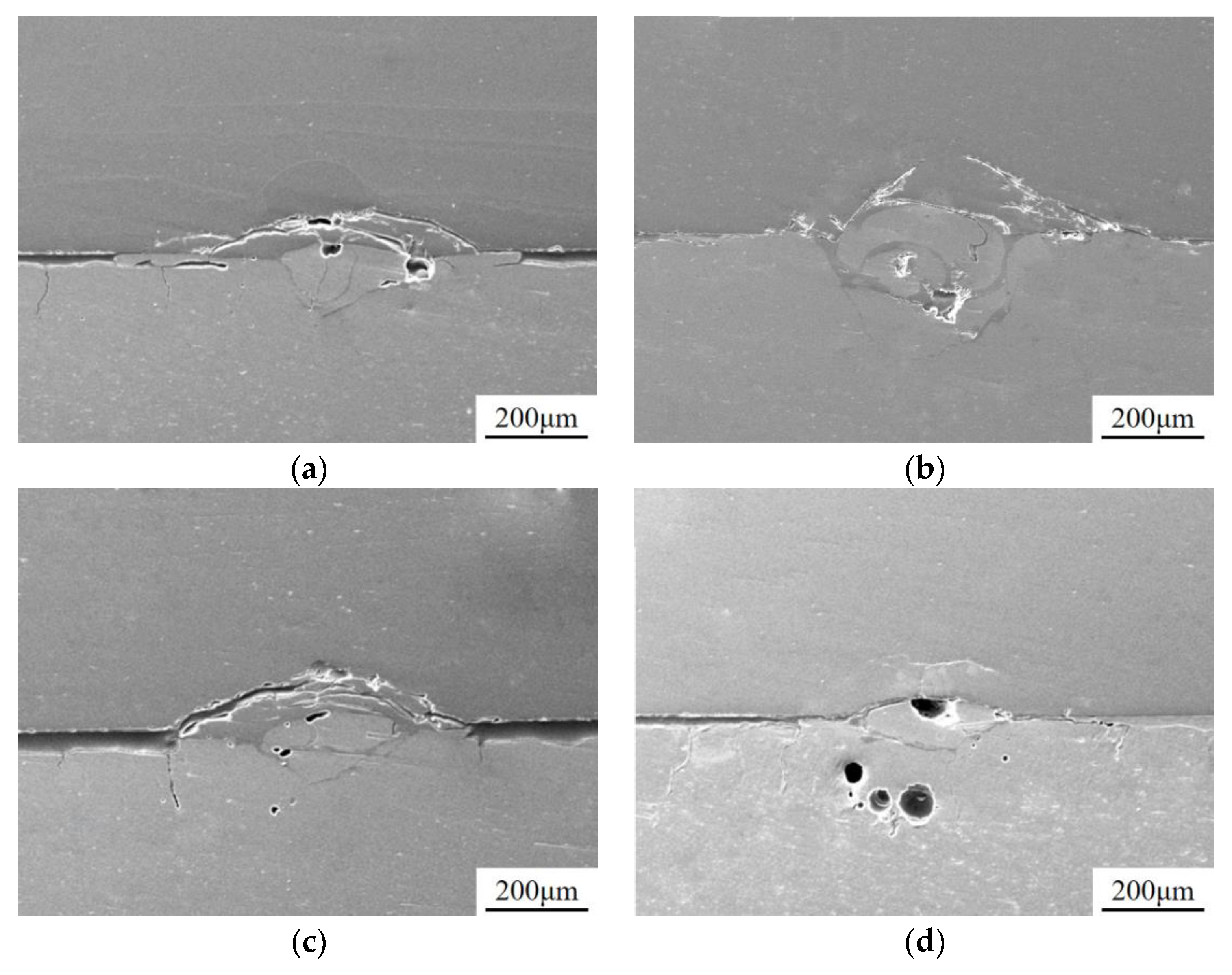 Metals 14 01001 g005