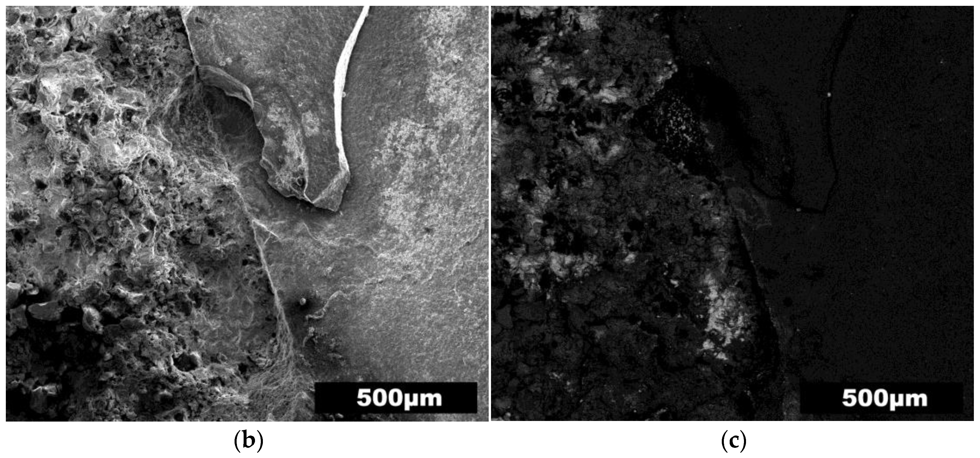 Metals 14 01003 g006b