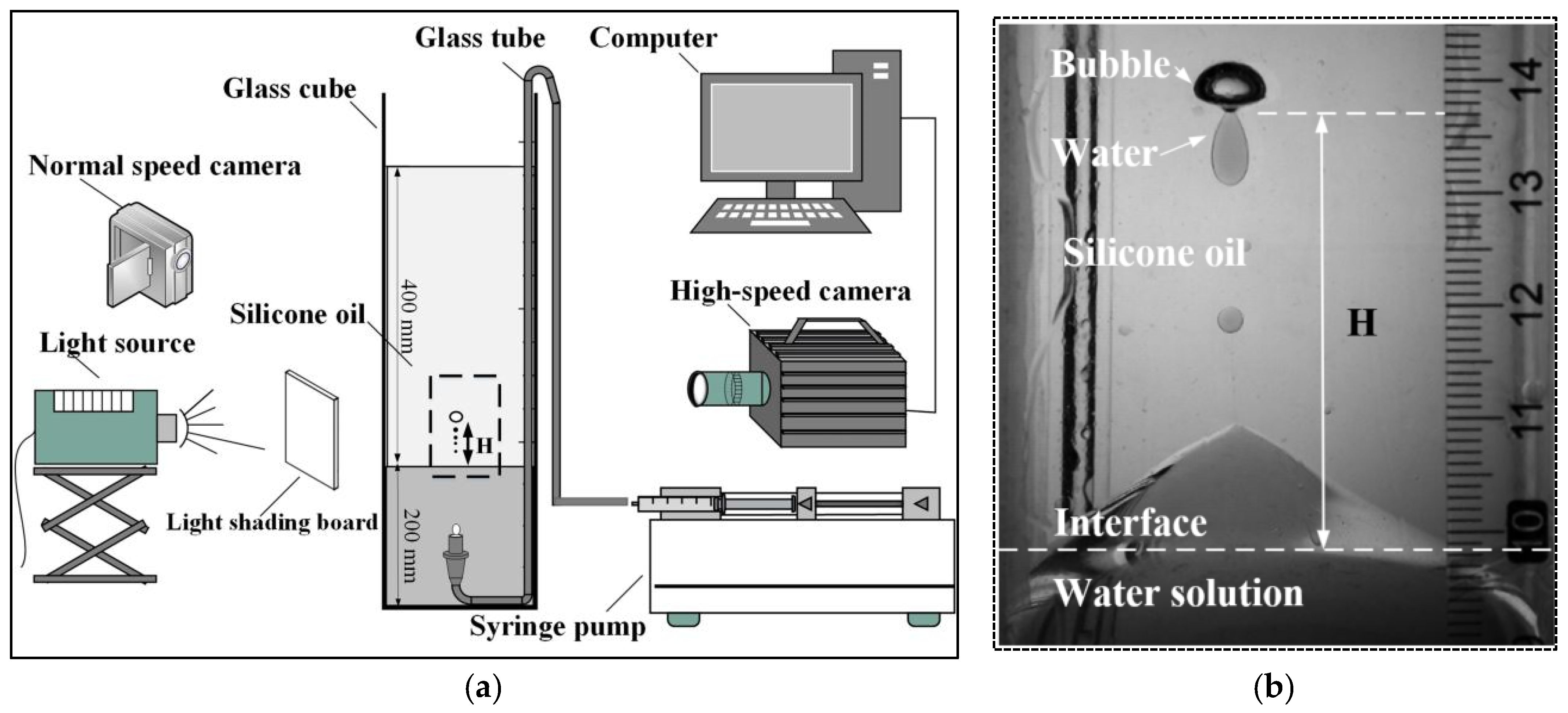Metals 14 01005 g001
