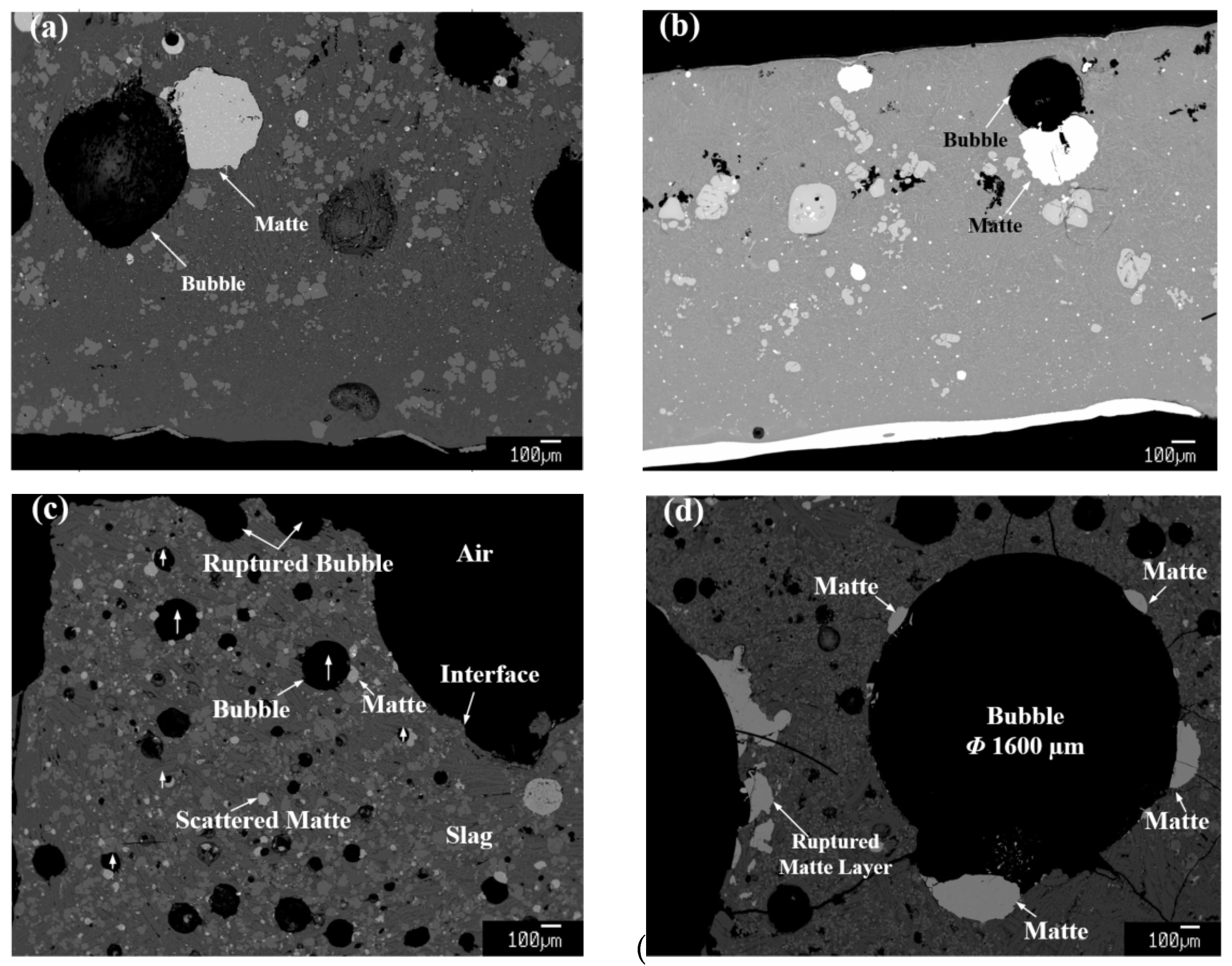Metals 14 01005 g007