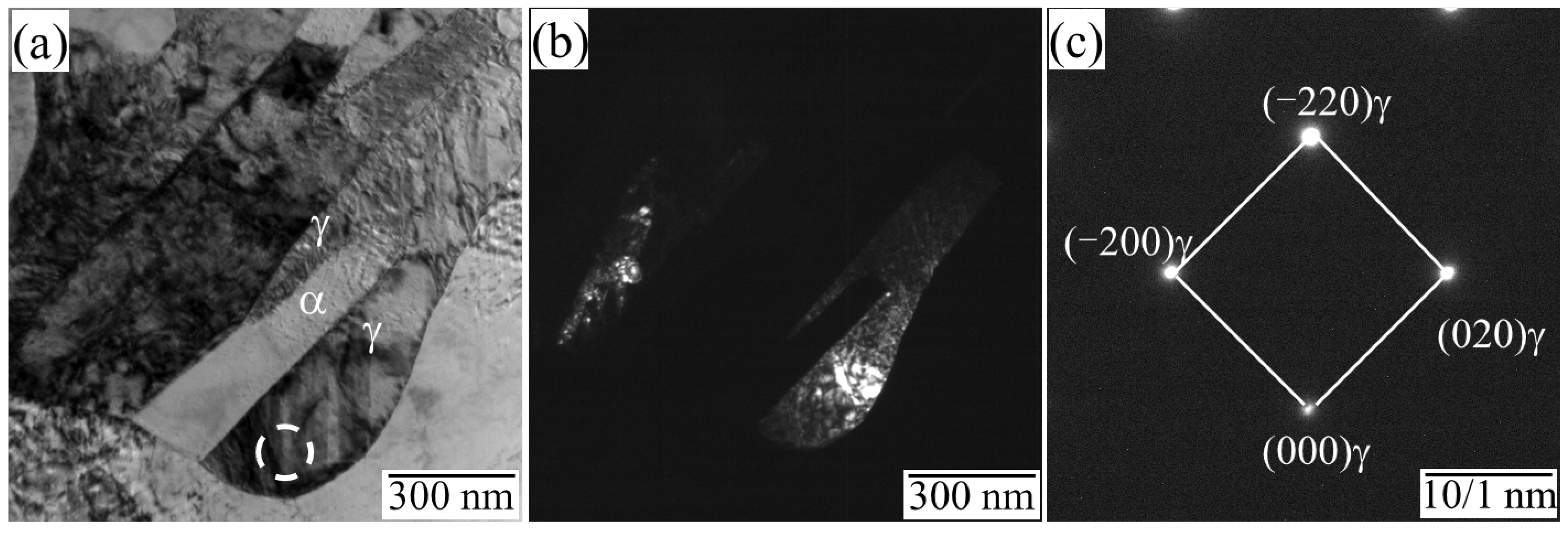 Metals 14 01008 g004