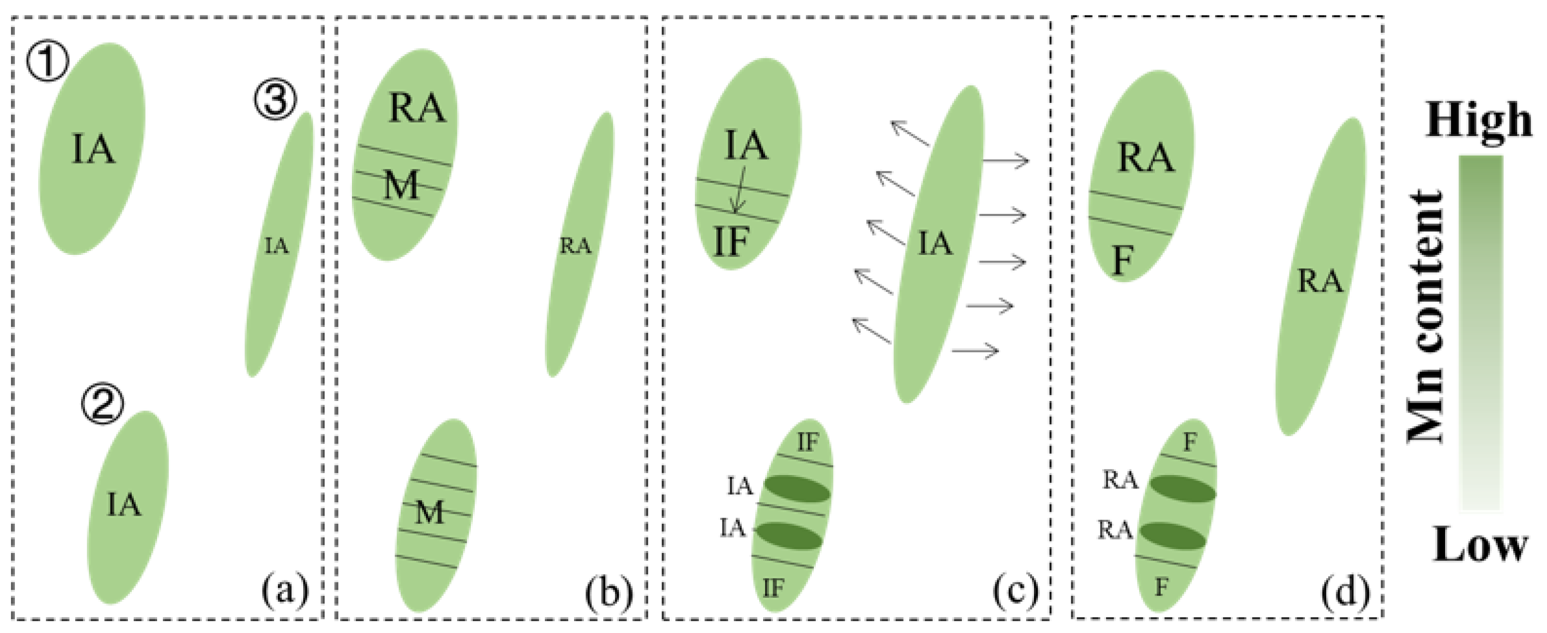 Metals 14 01008 g009