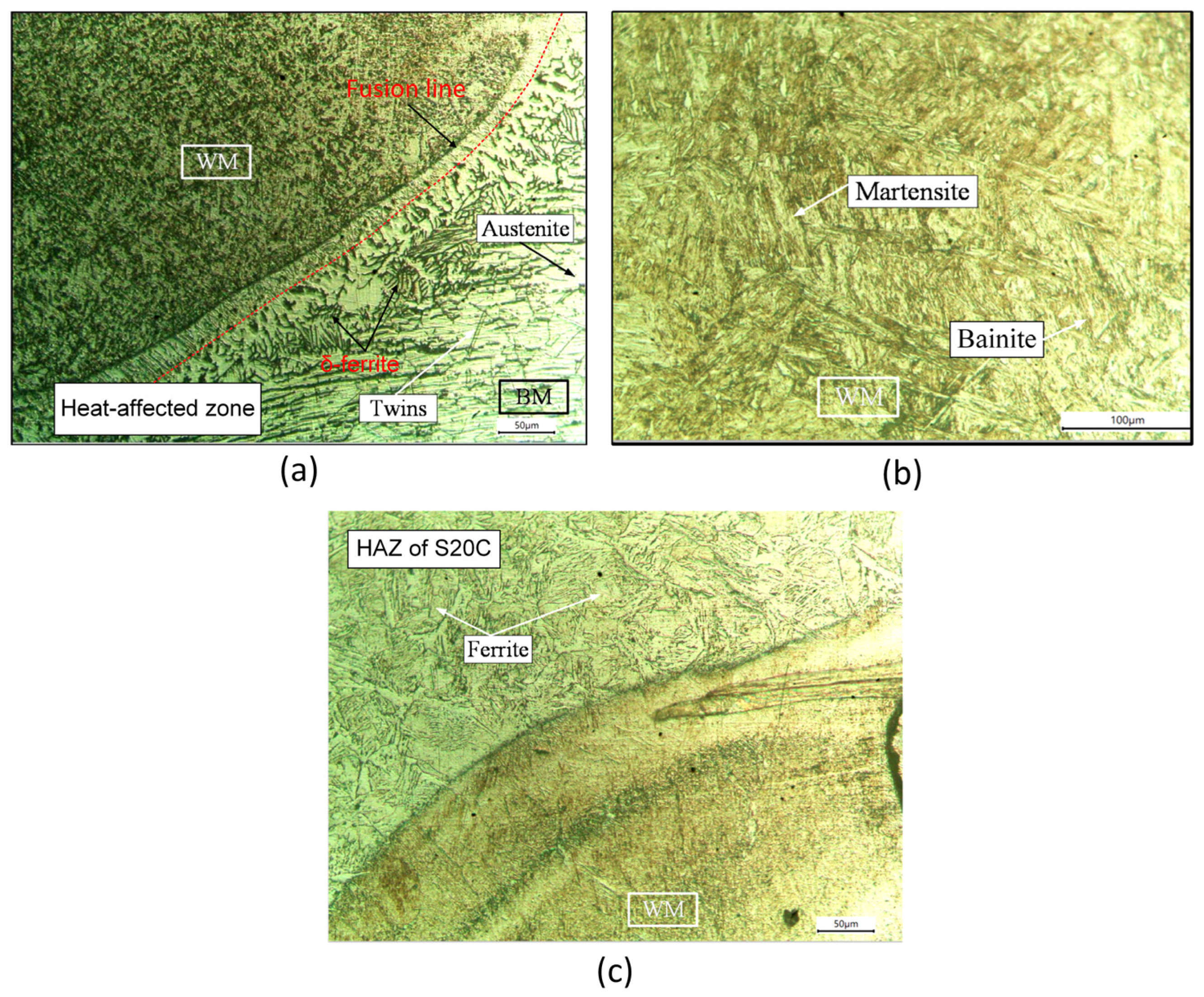 Metals 14 01011 g006