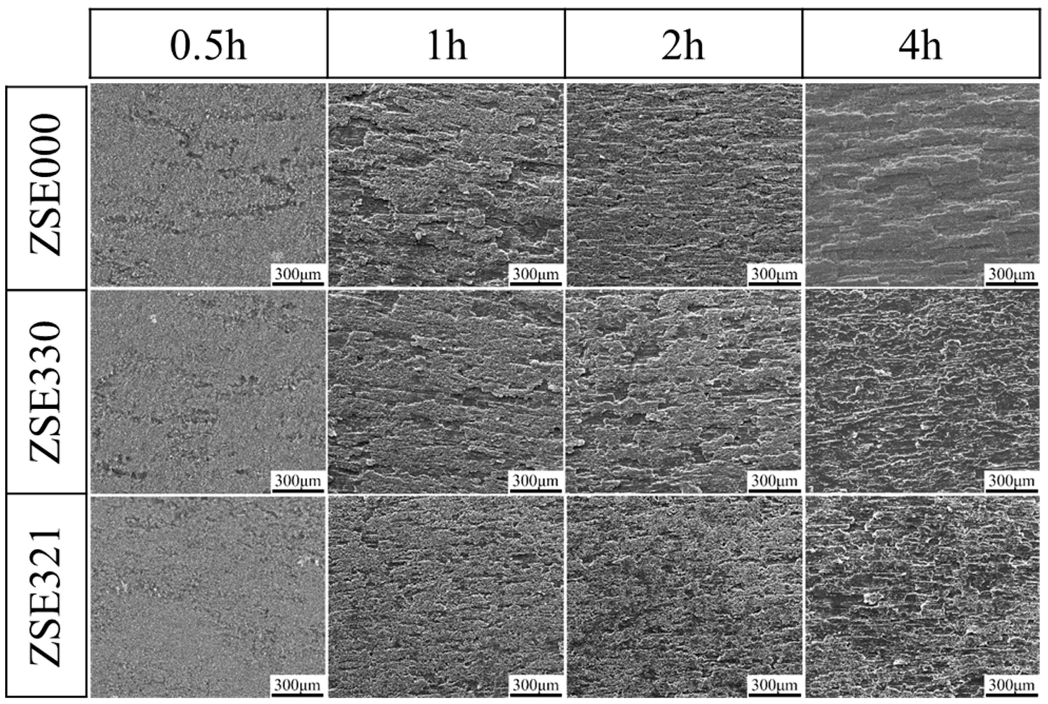 Metals 14 01013 g017 Metals 14 01013 g017
