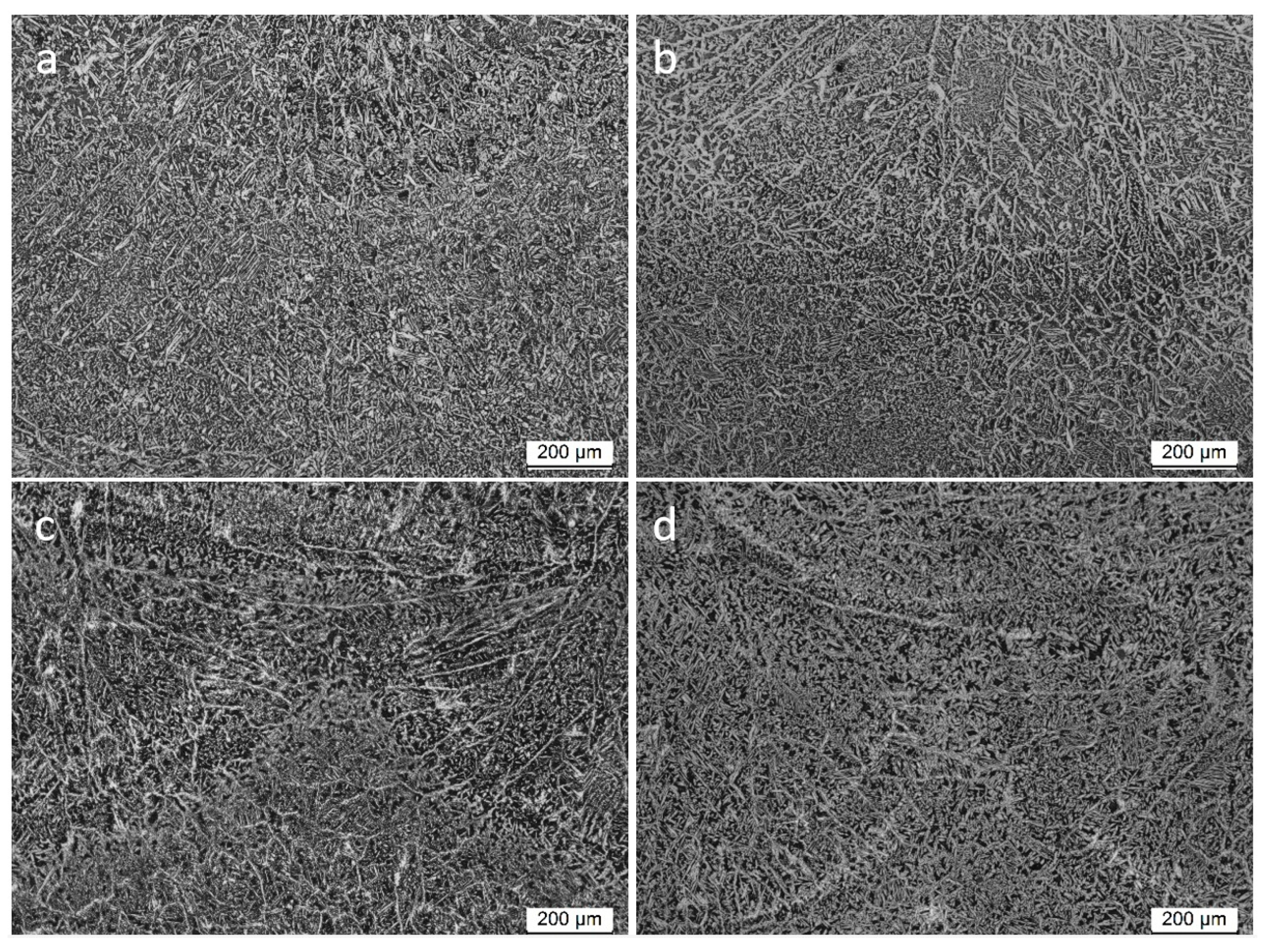 Metals 14 01031 g014