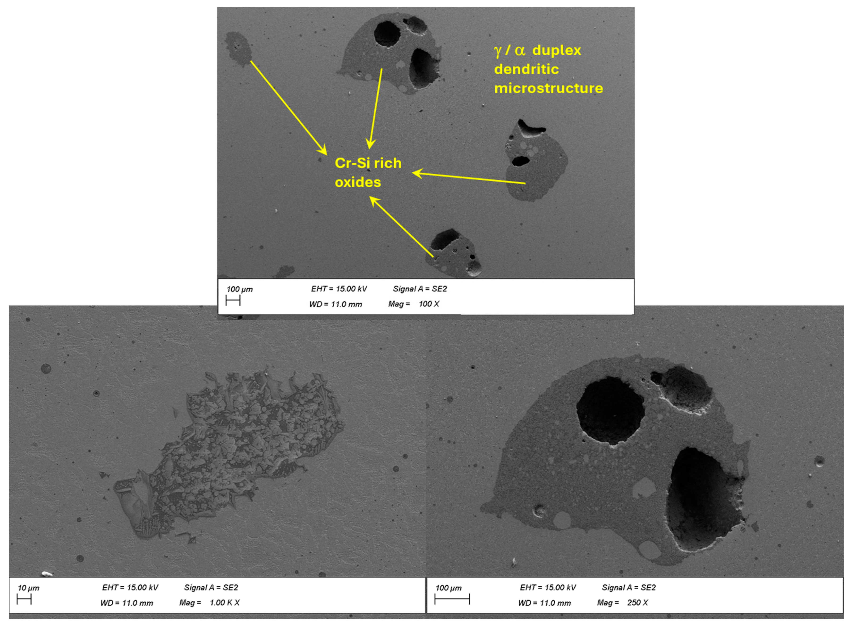 Metals 14 01031 g015