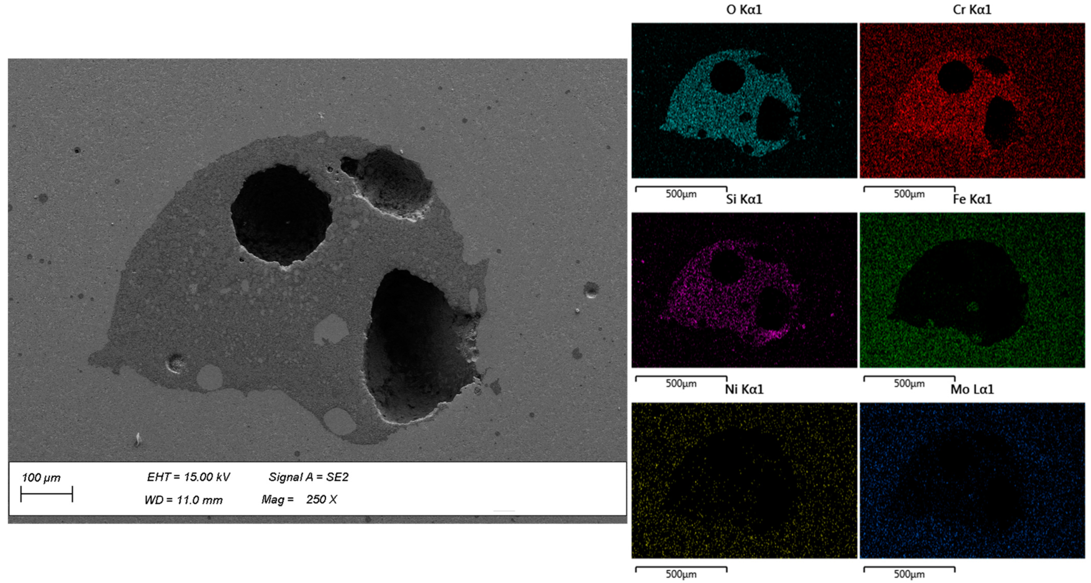 Metals 14 01031 g016