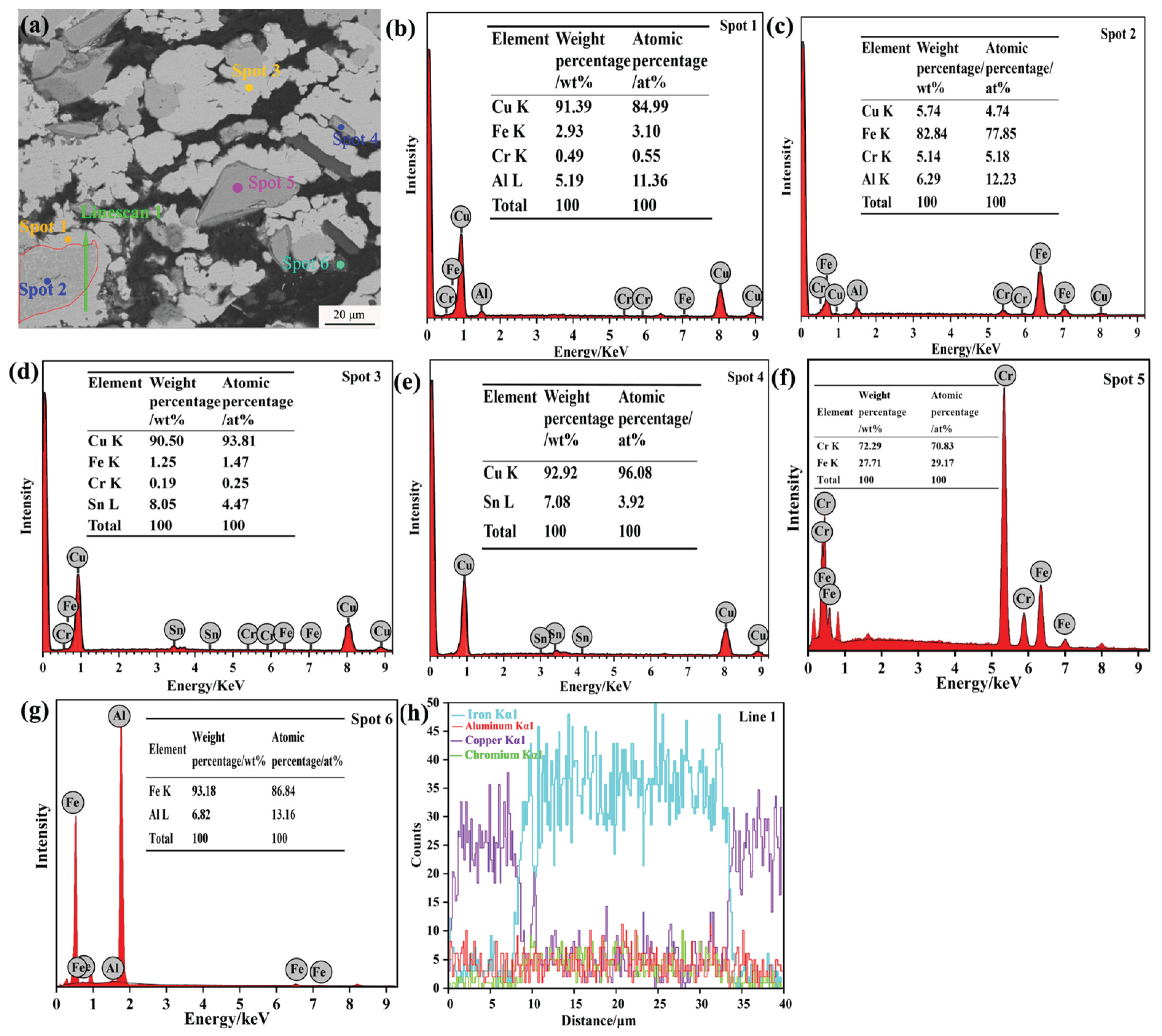 Metals 14 01048 g010