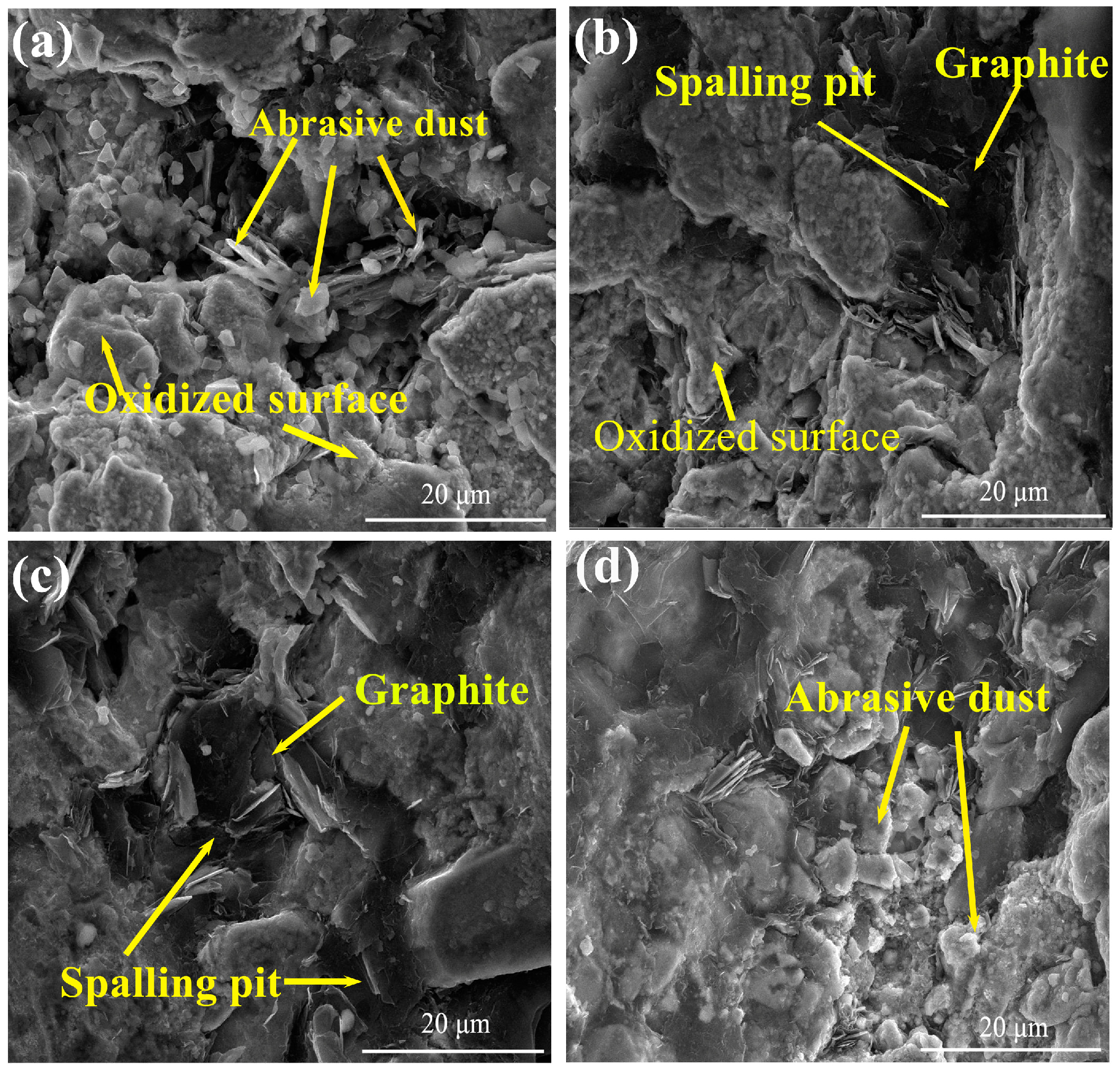 Metals 14 01048 g011