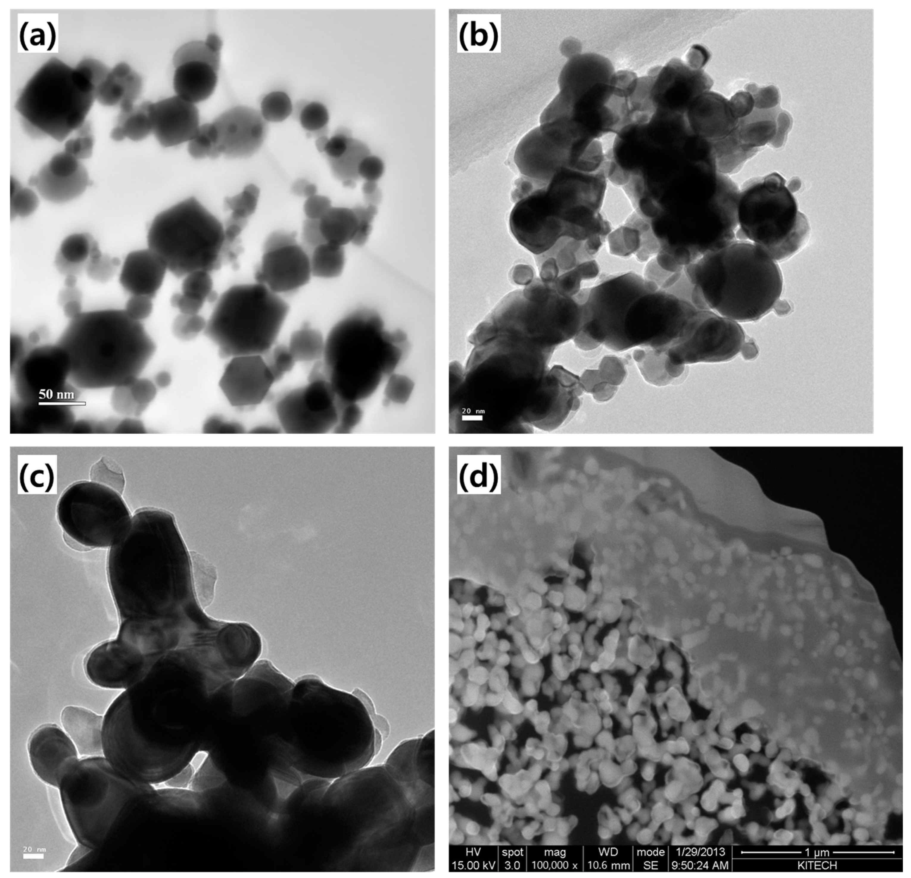 Metals 14 01070 g008