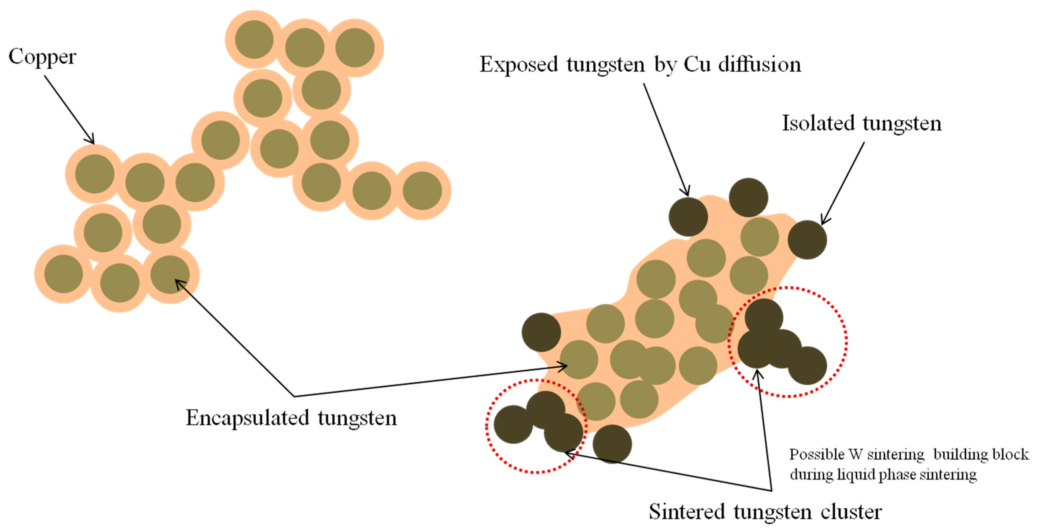 Metals 14 01070 g009