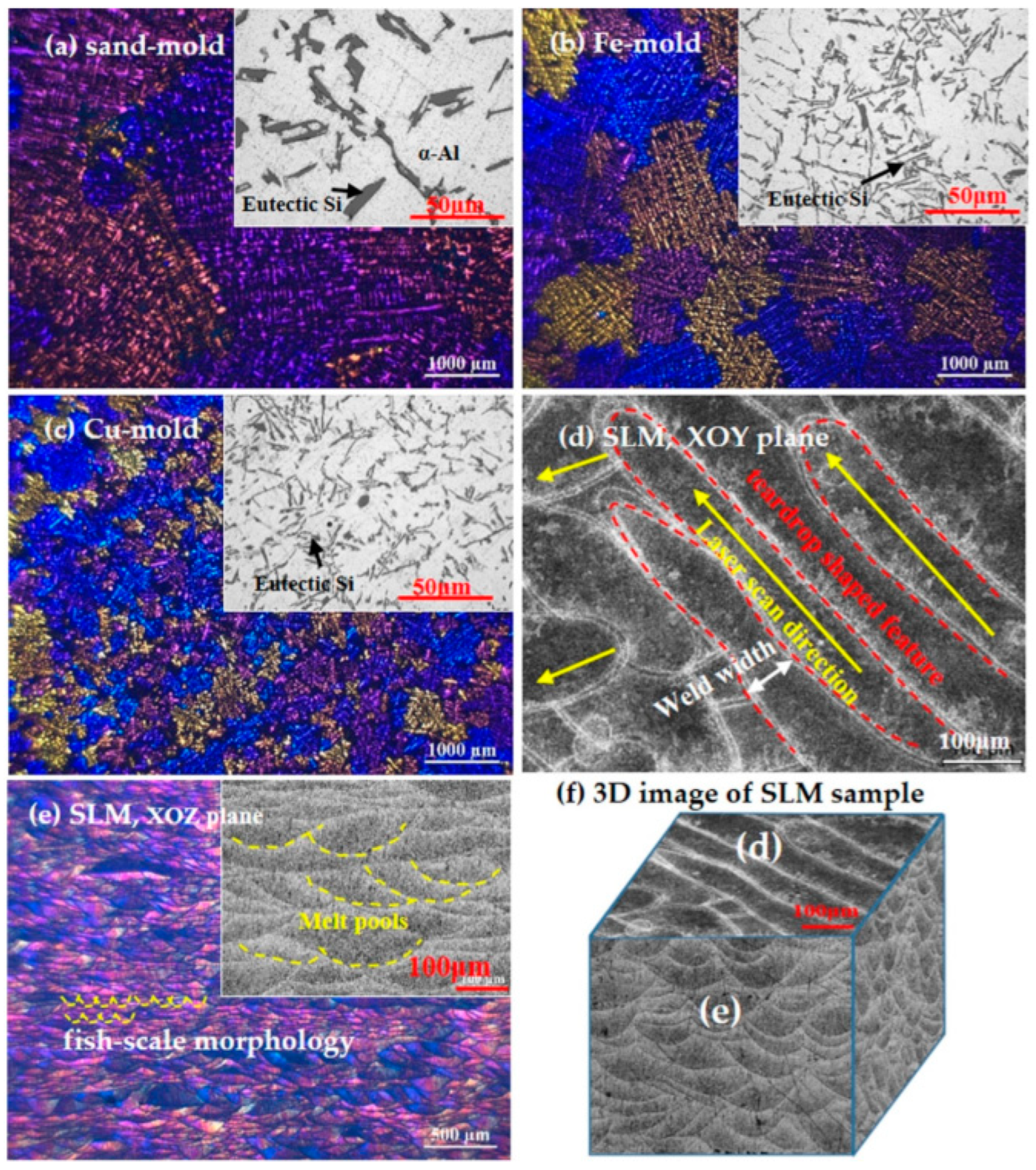 Metals 14 01081 g007