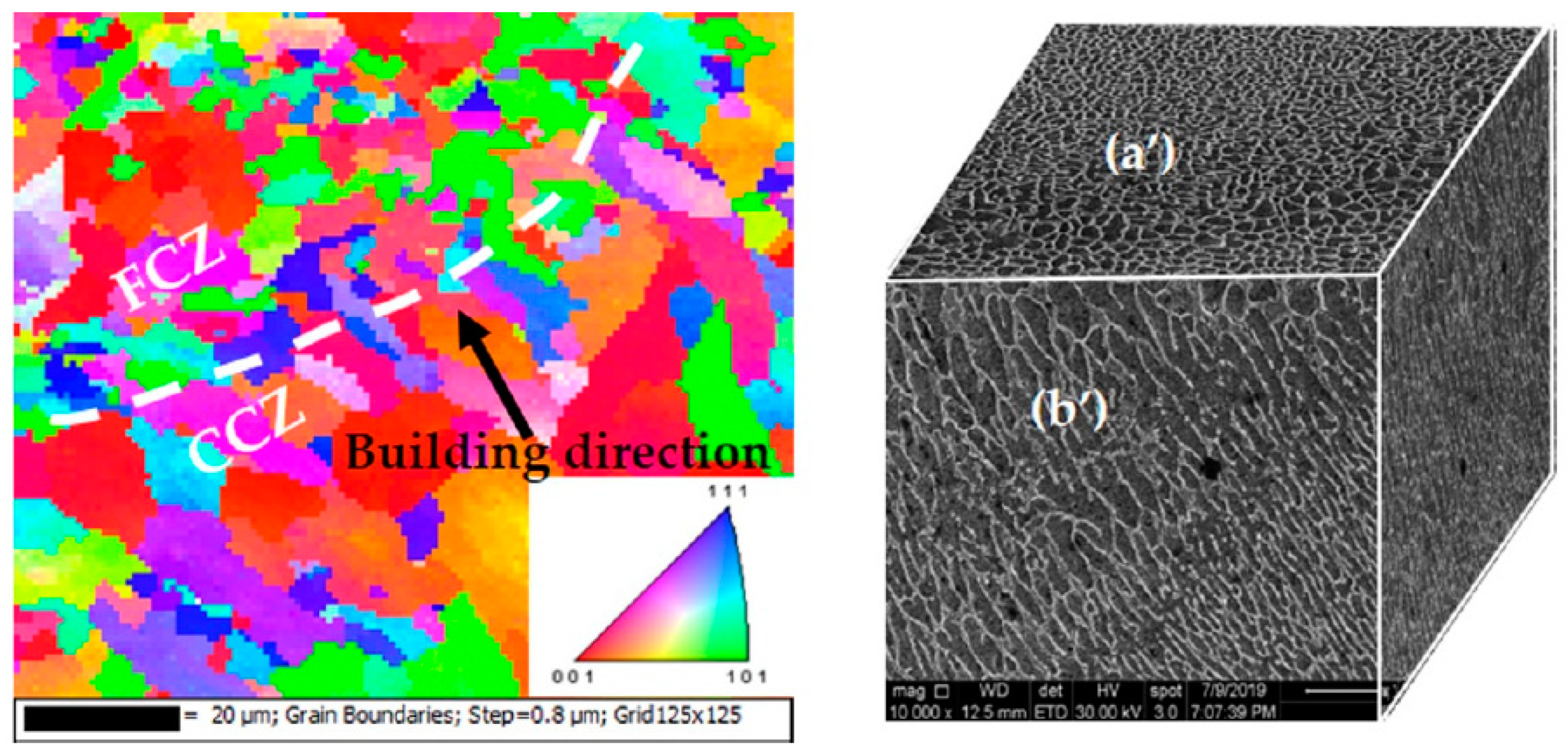 Metals 14 01081 g008