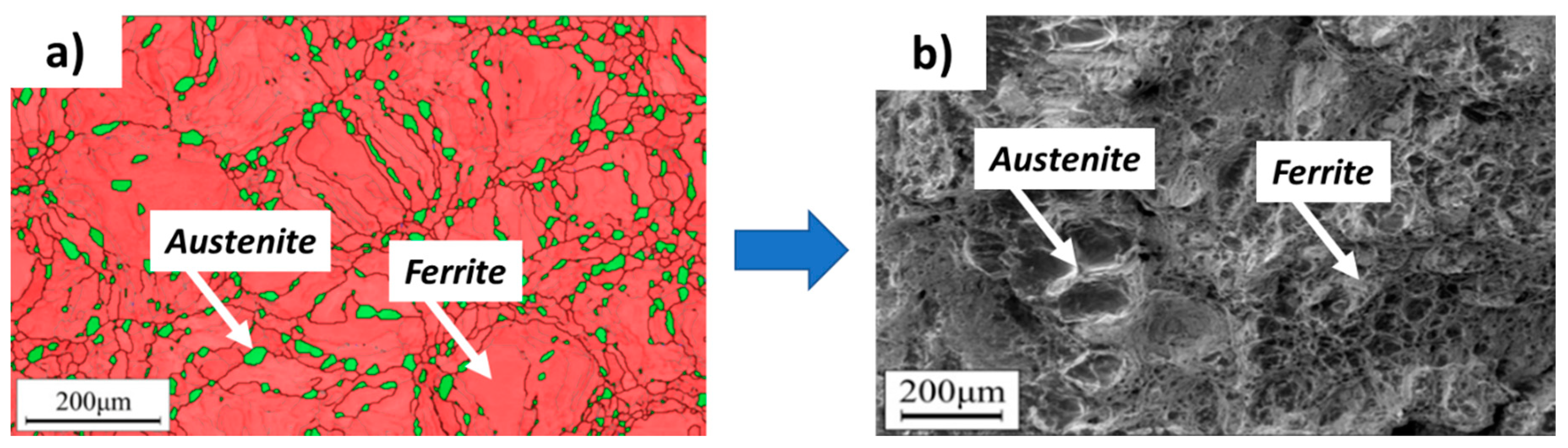 Metals 14 01081 g015