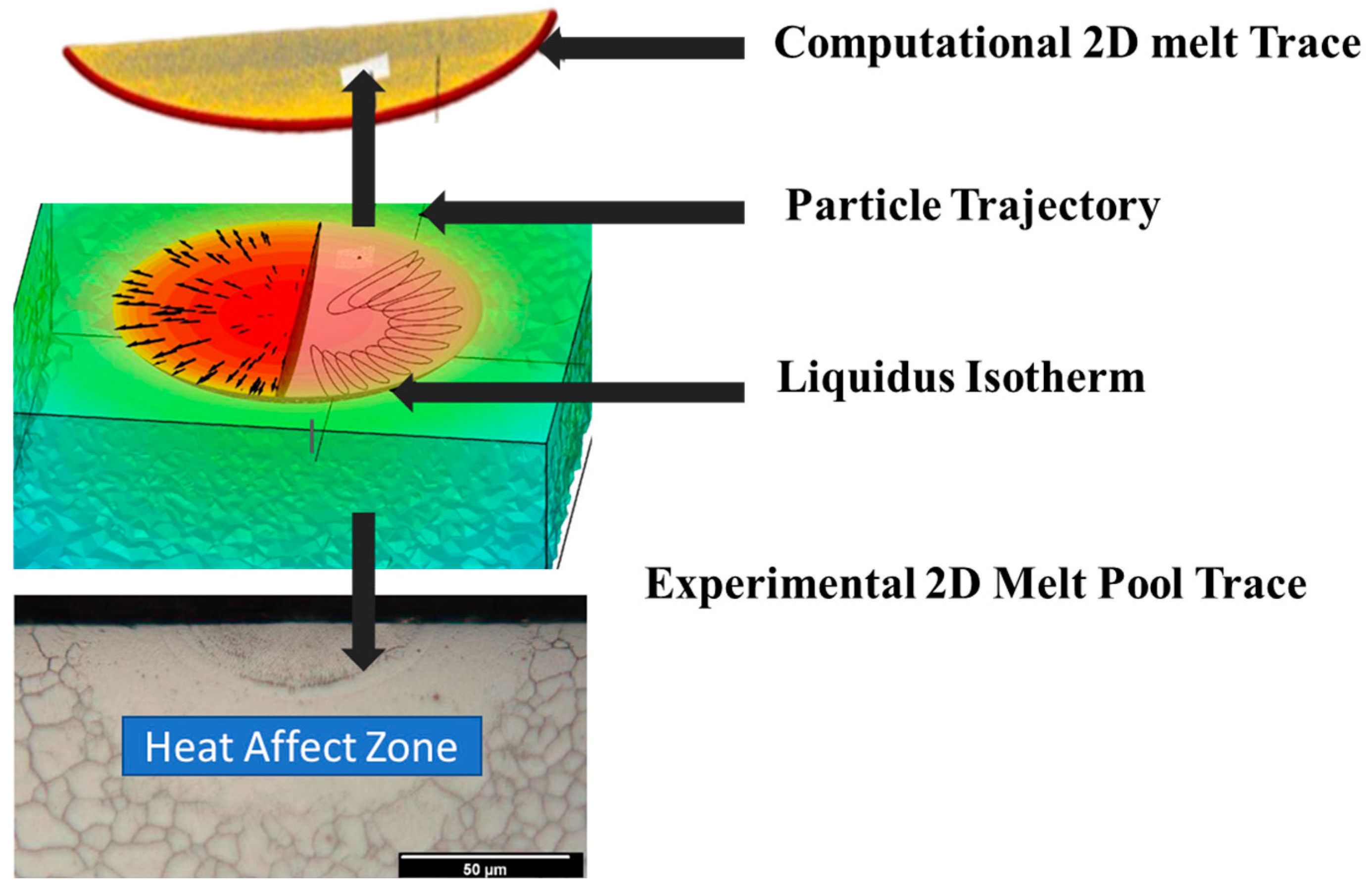 Metals 14 01081 g025